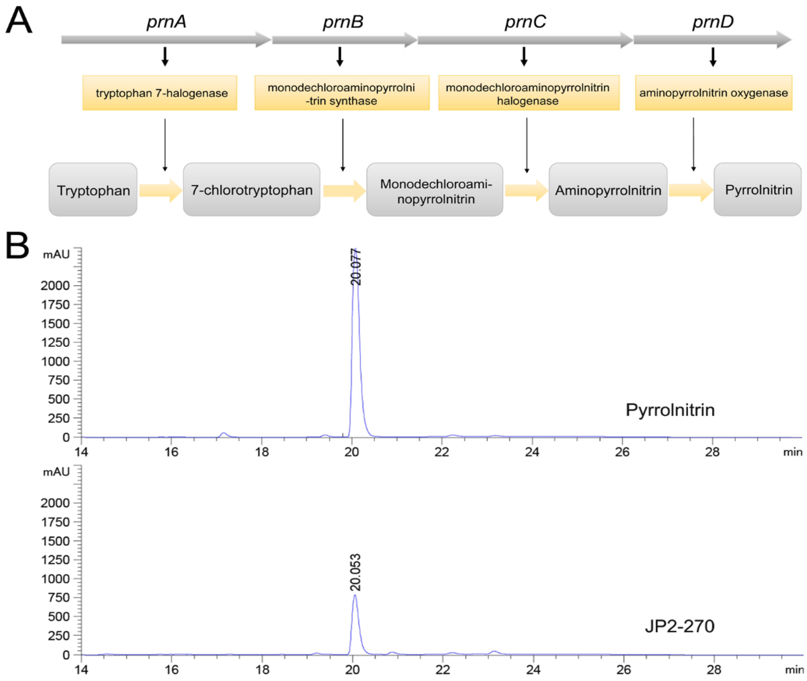 Microorganisms 12 01818 g003