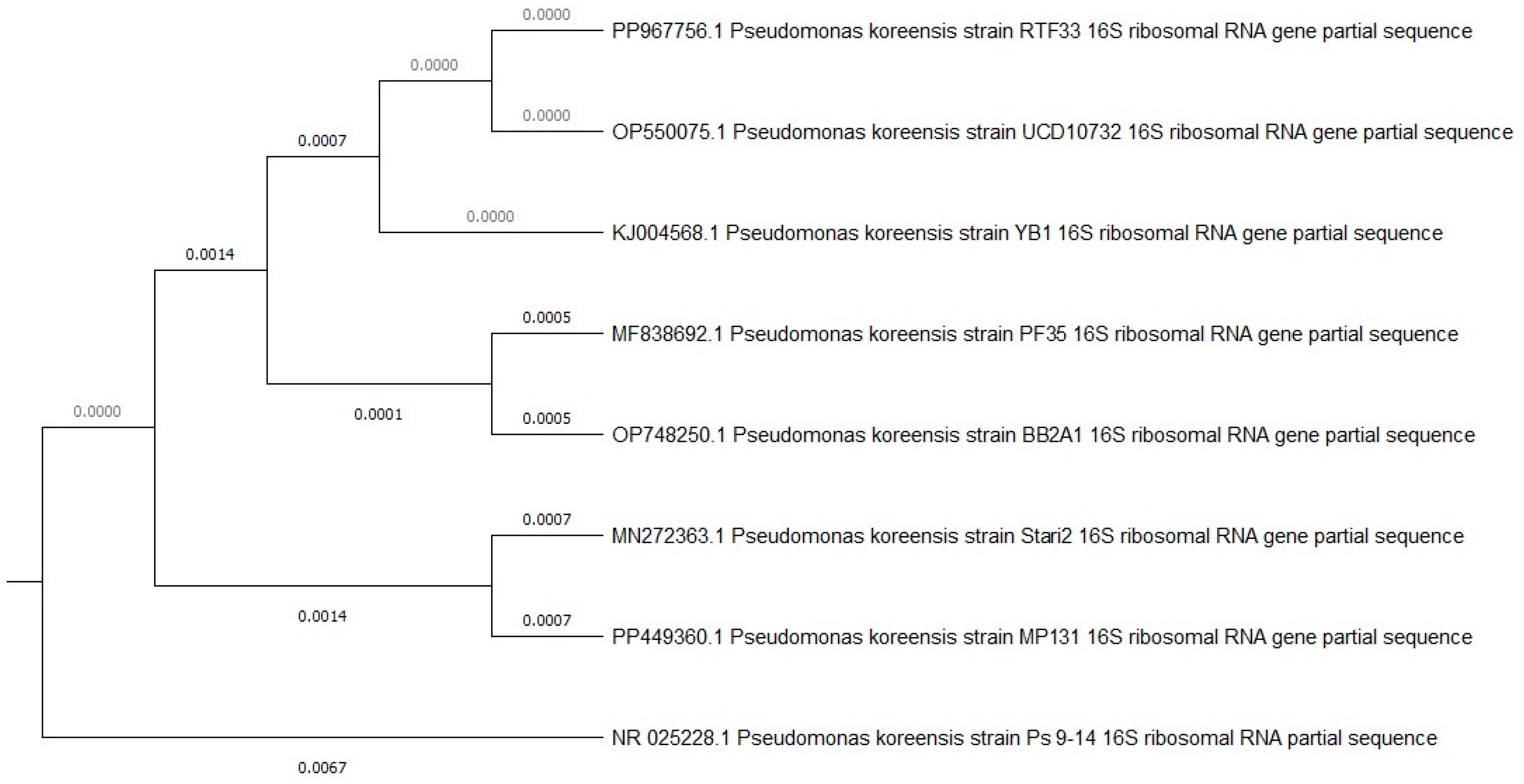Microorganisms 12 01823 g002
