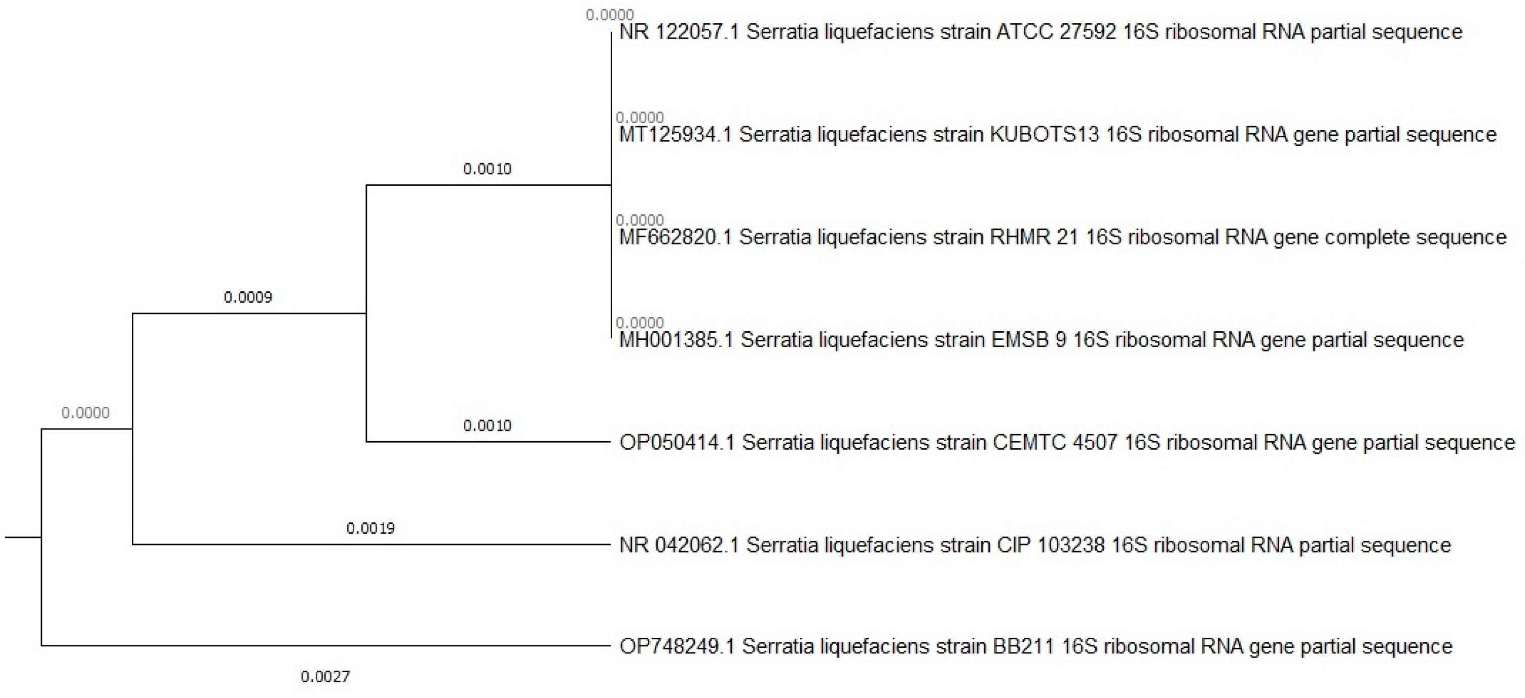 Microorganisms 12 01823 g003
