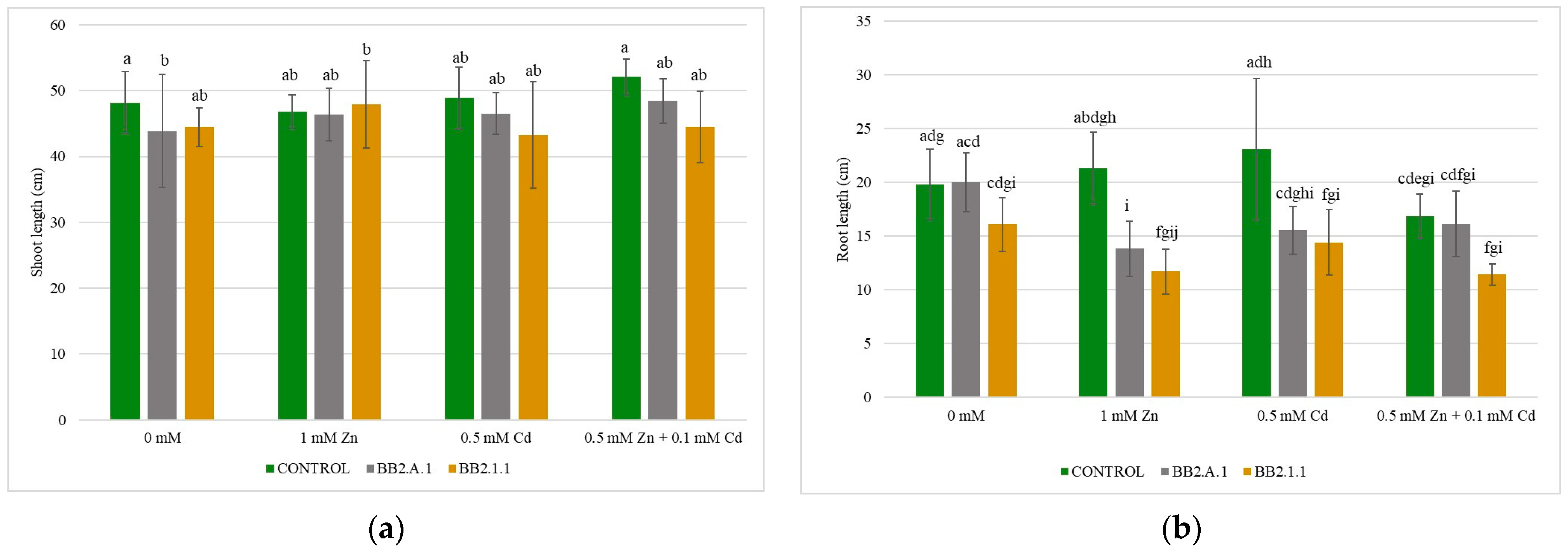 Microorganisms 12 01823 g004