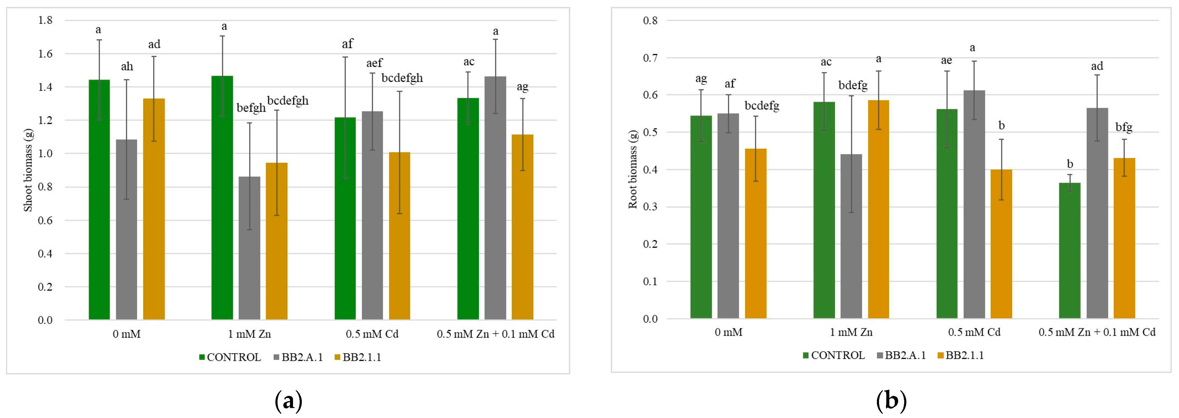 Microorganisms 12 01823 g005