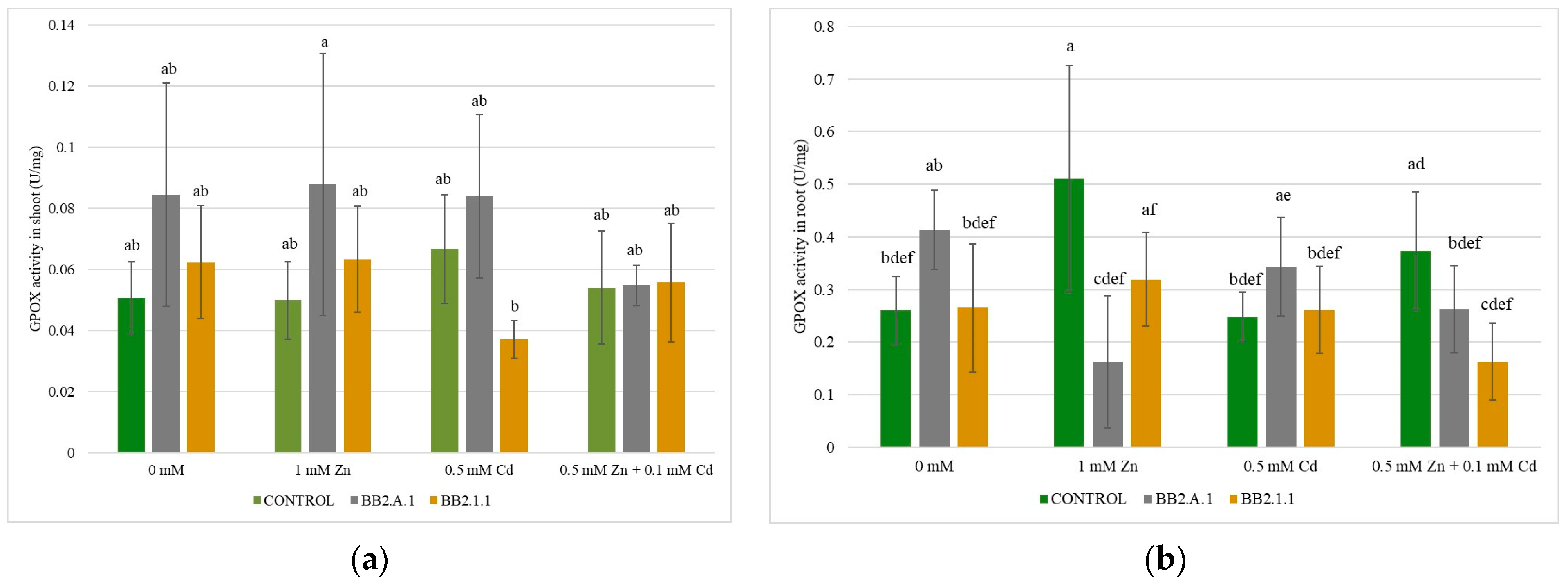 Microorganisms 12 01823 g010