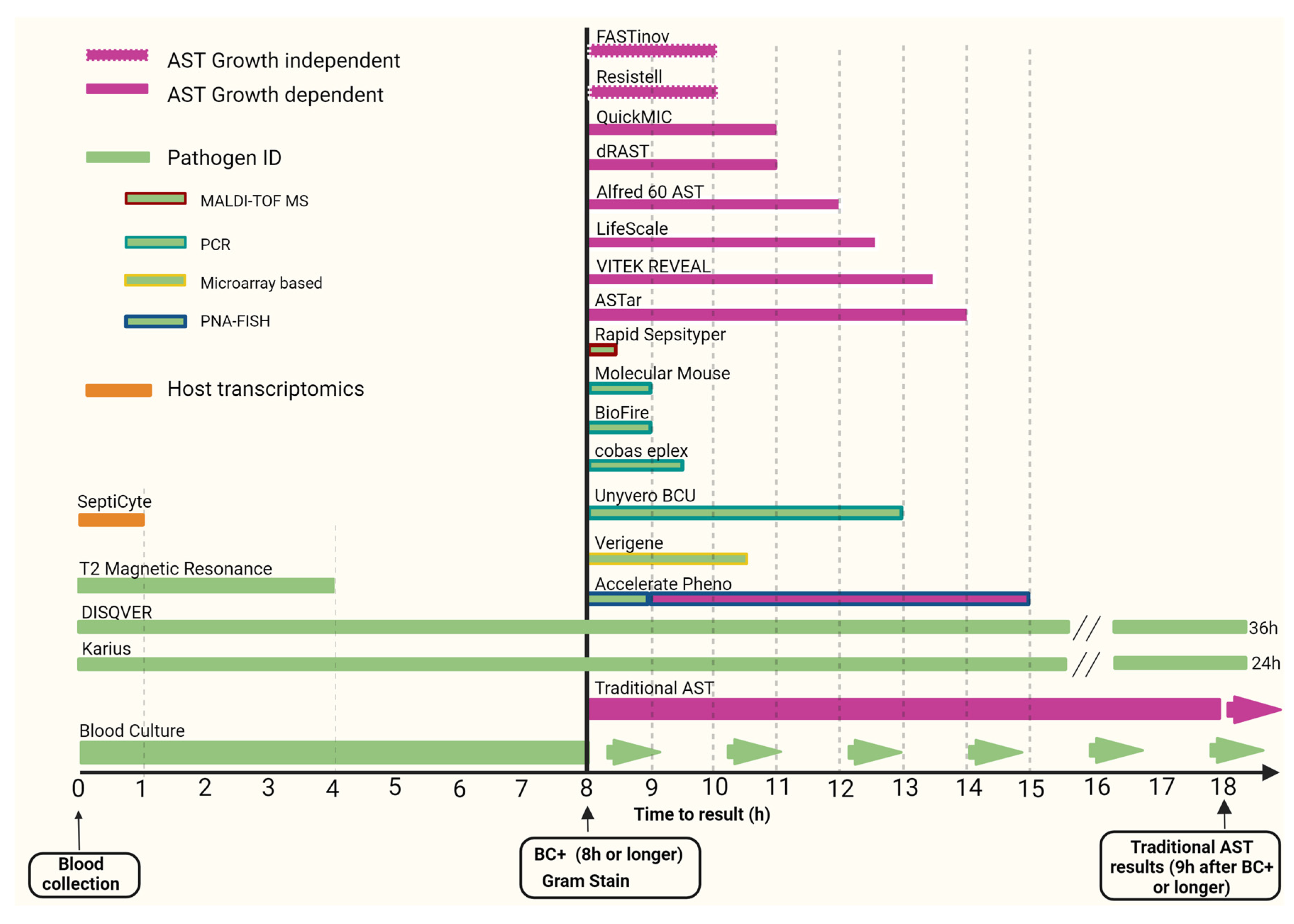 Microorganisms 12 01824 g001