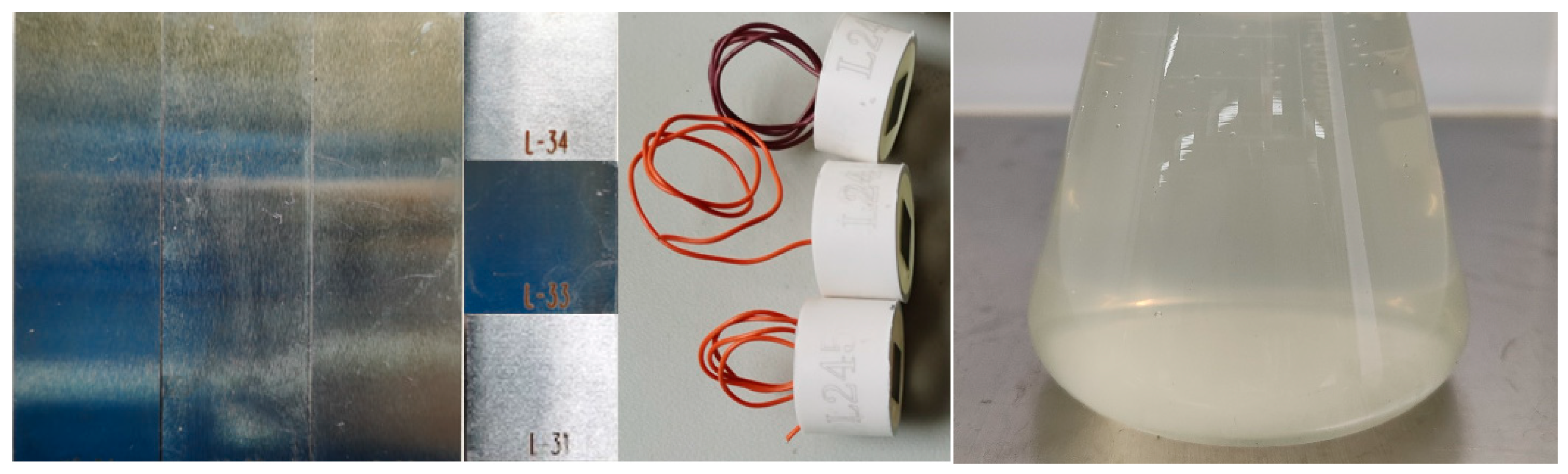 Microorganisms 12 01826 g001