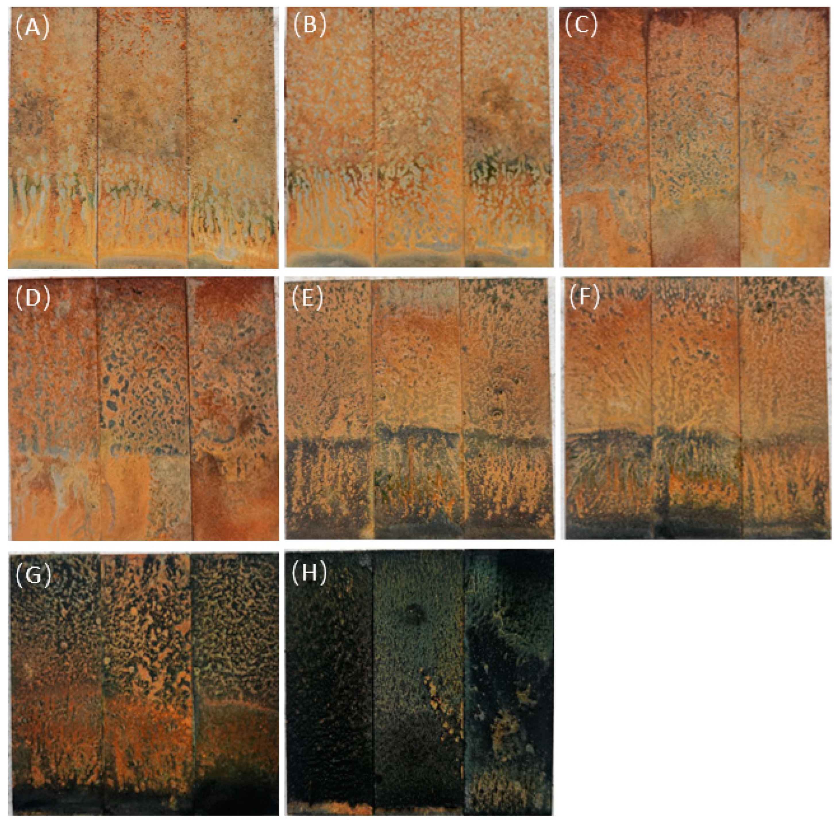 Microorganisms 12 01826 g004