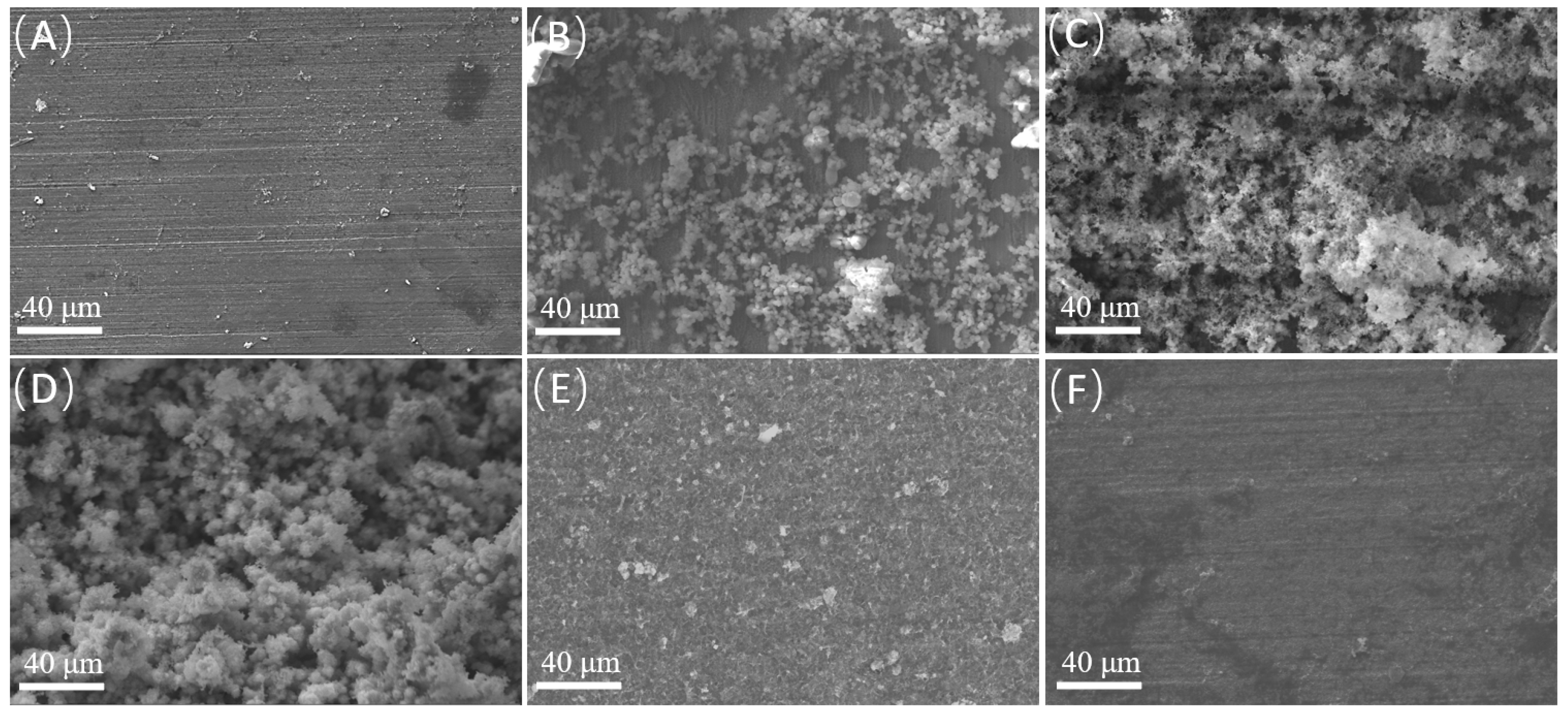 Microorganisms 12 01826 g006