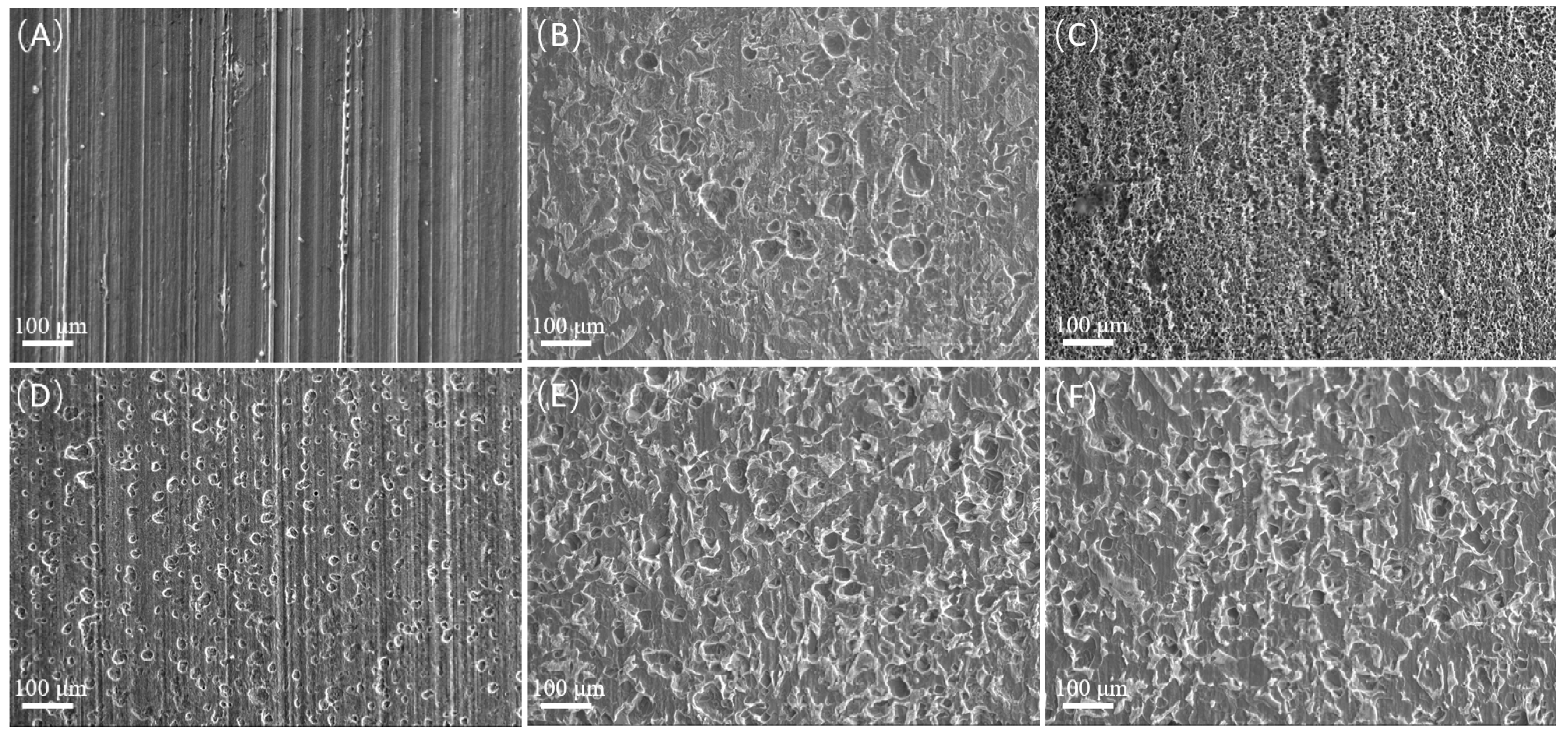 Microorganisms 12 01826 g008