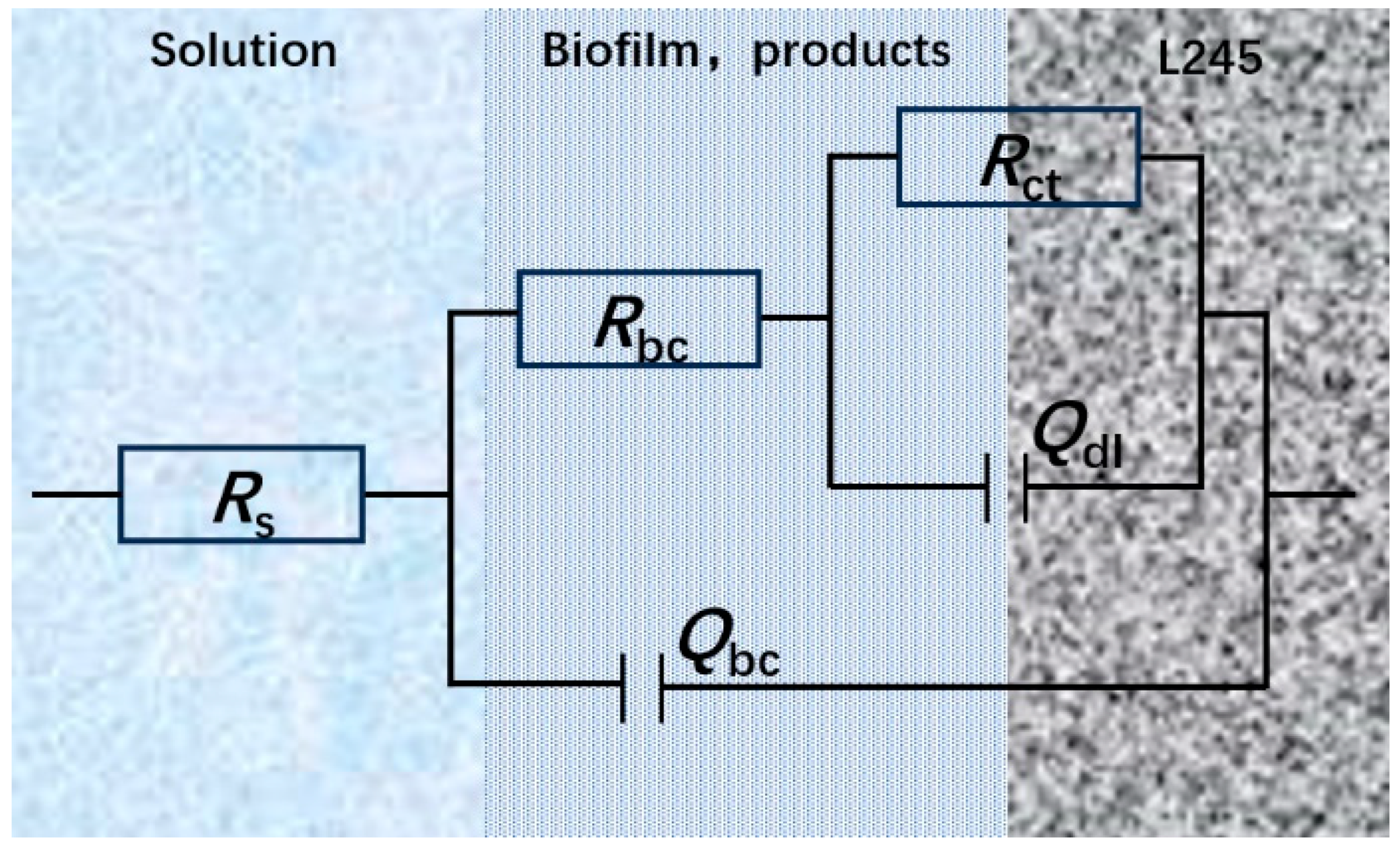 Microorganisms 12 01826 g012