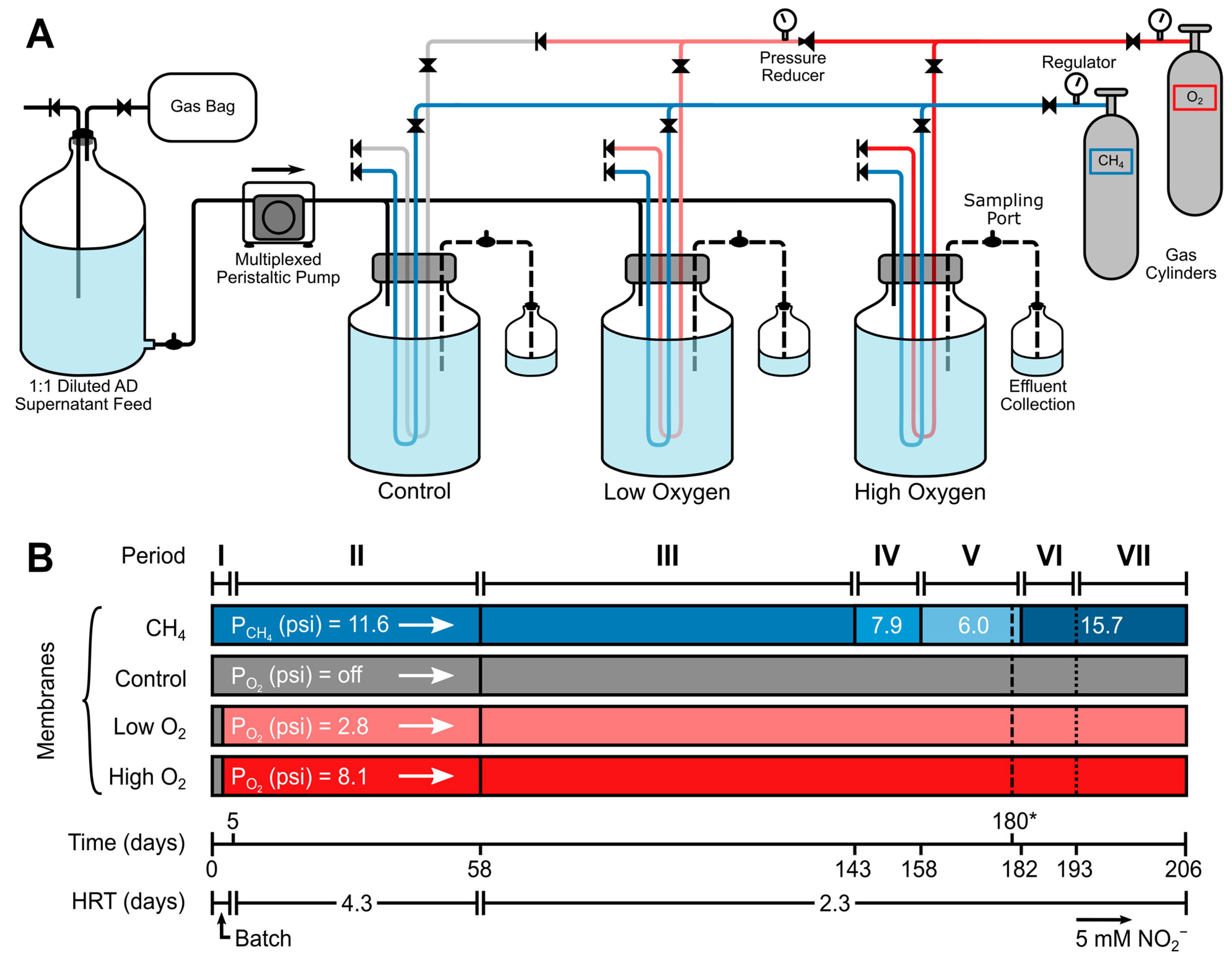 Microorganisms 12 01841 g001