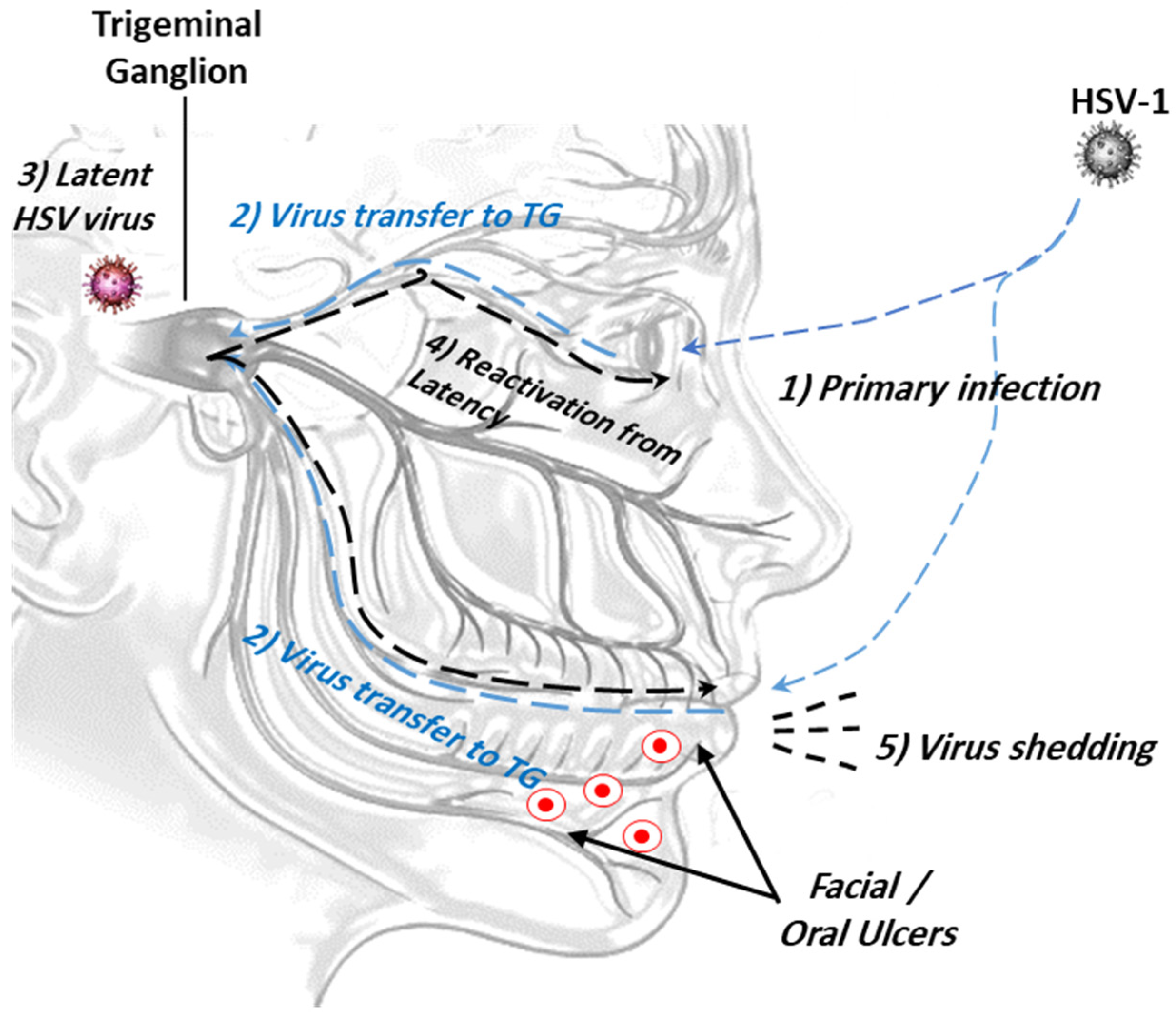 Microorganisms 12 01846 g001
