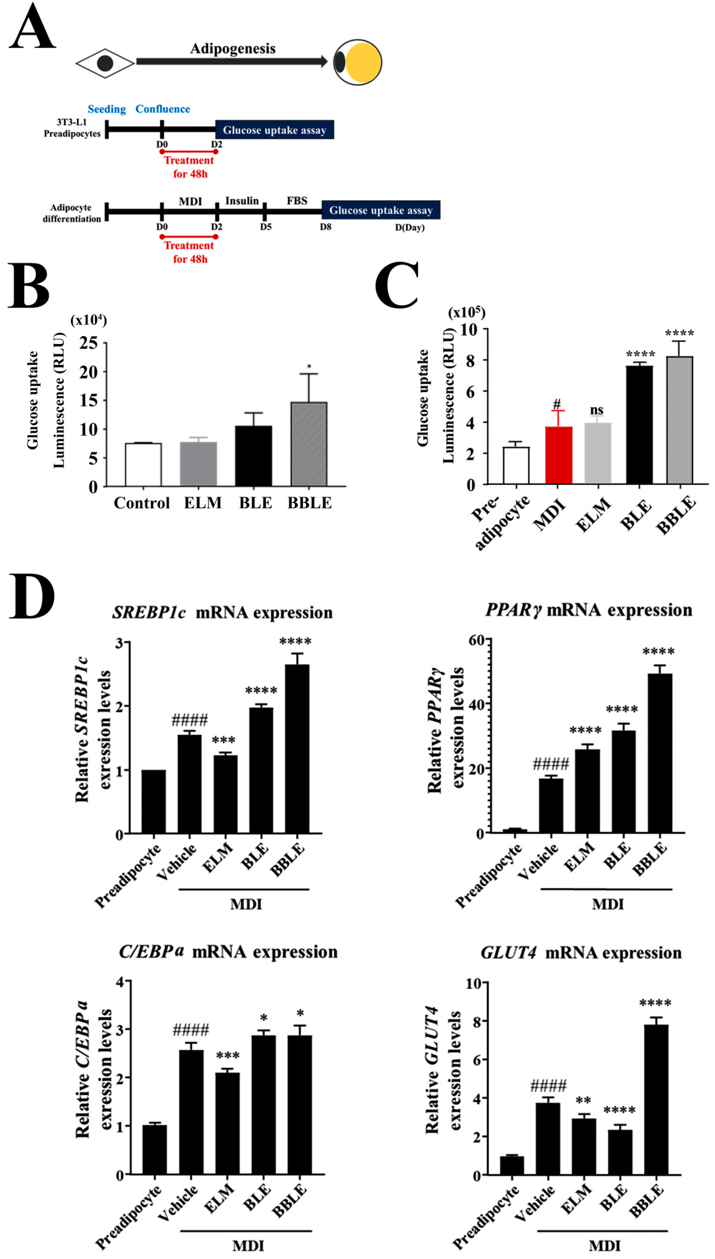 Microorganisms 12 01848 g002