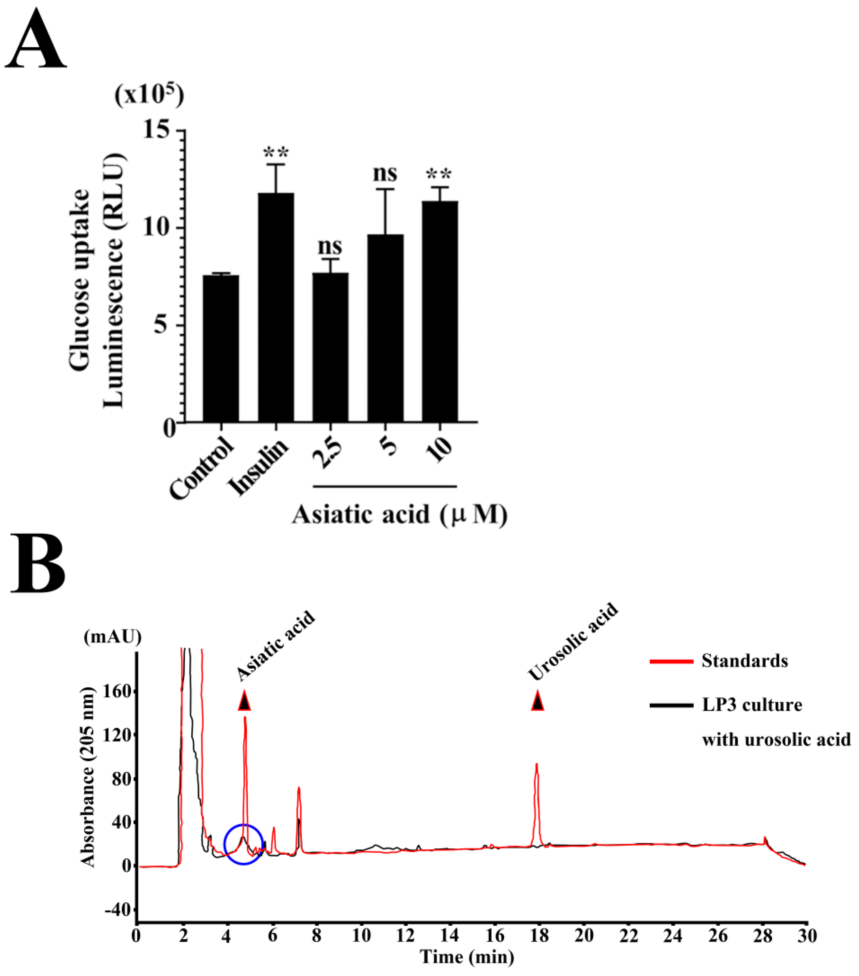 Microorganisms 12 01848 g006
