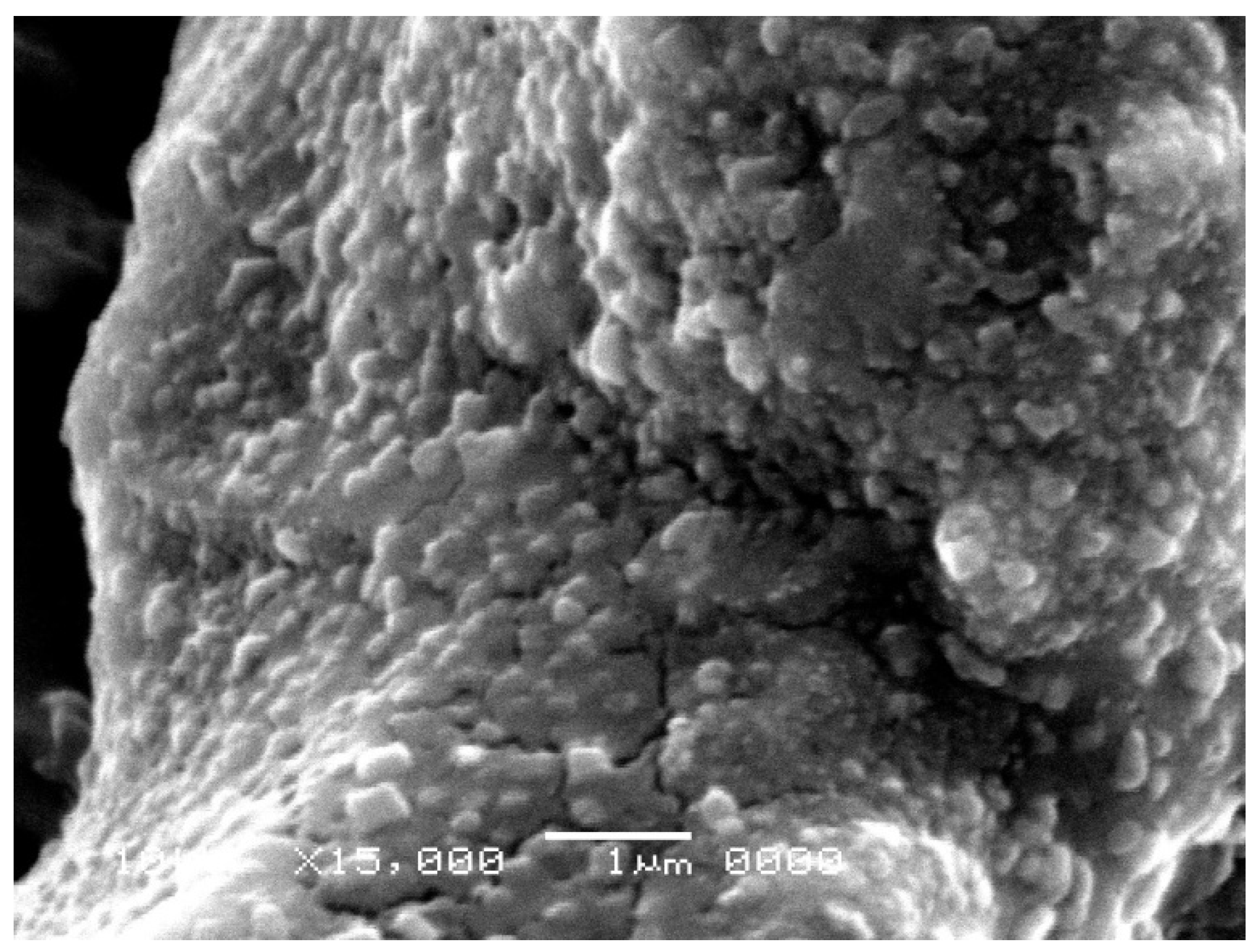 Microorganisms 12 01849 g002
