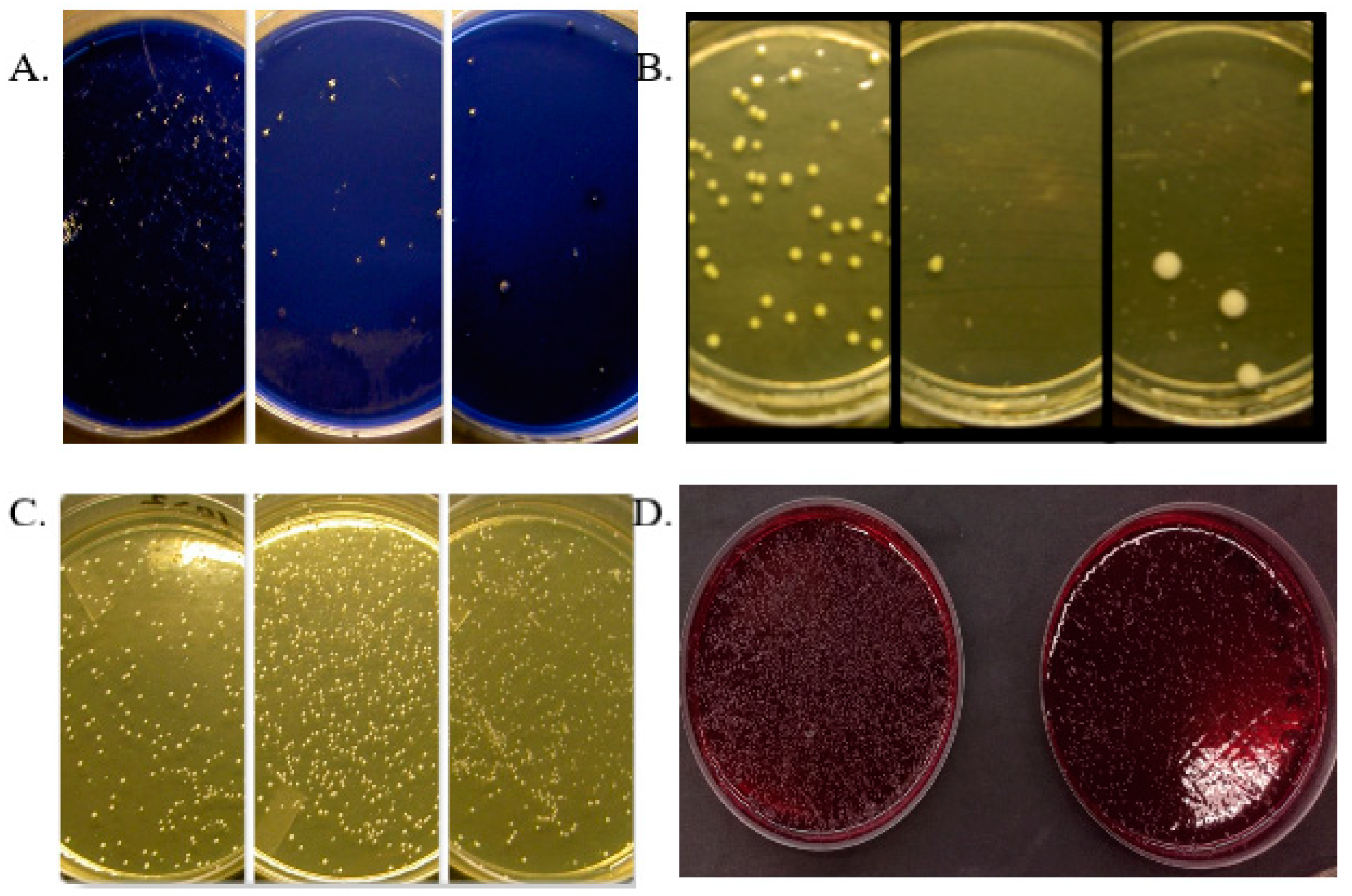 Microorganisms 12 01850 g001 Microorganisms 12 01850 g001