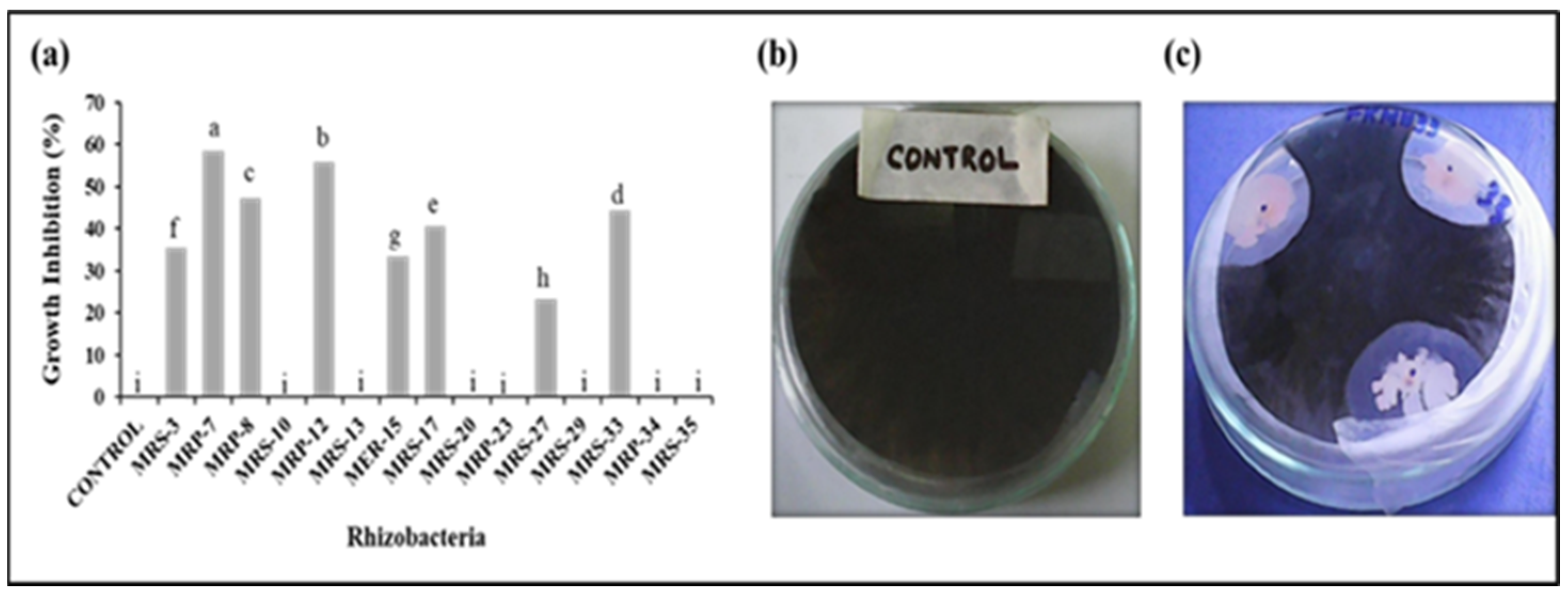 Microorganisms 12 01852 g002