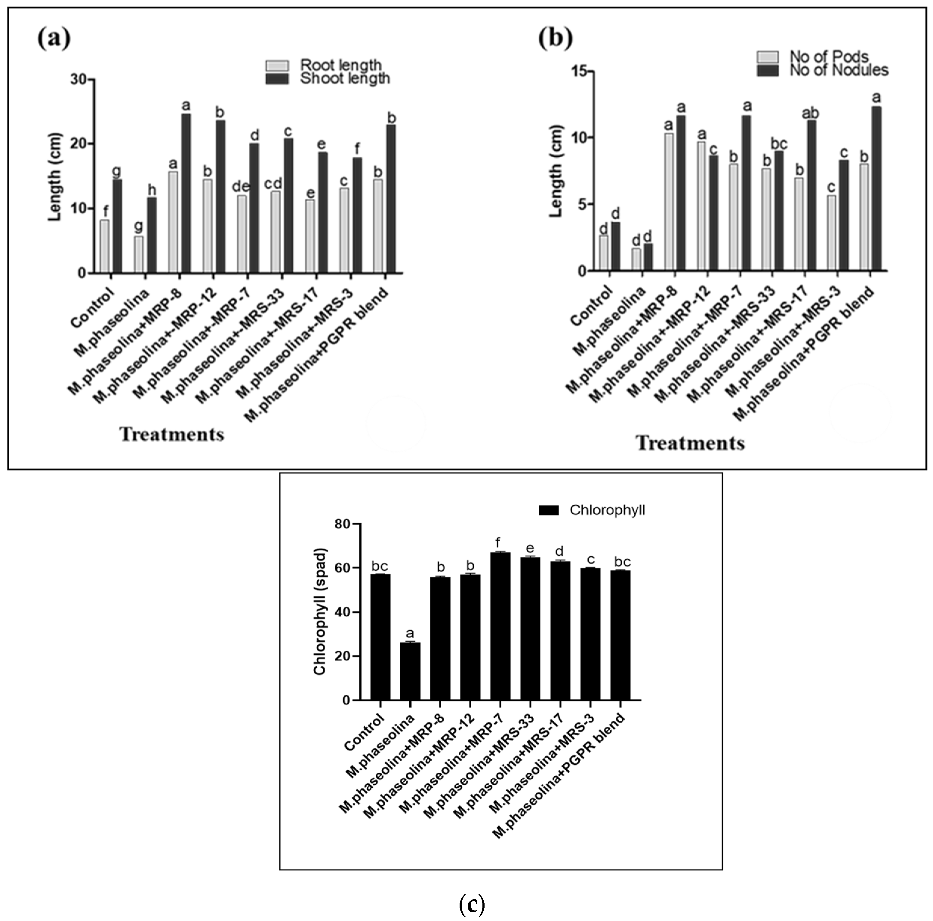 Microorganisms 12 01852 g004