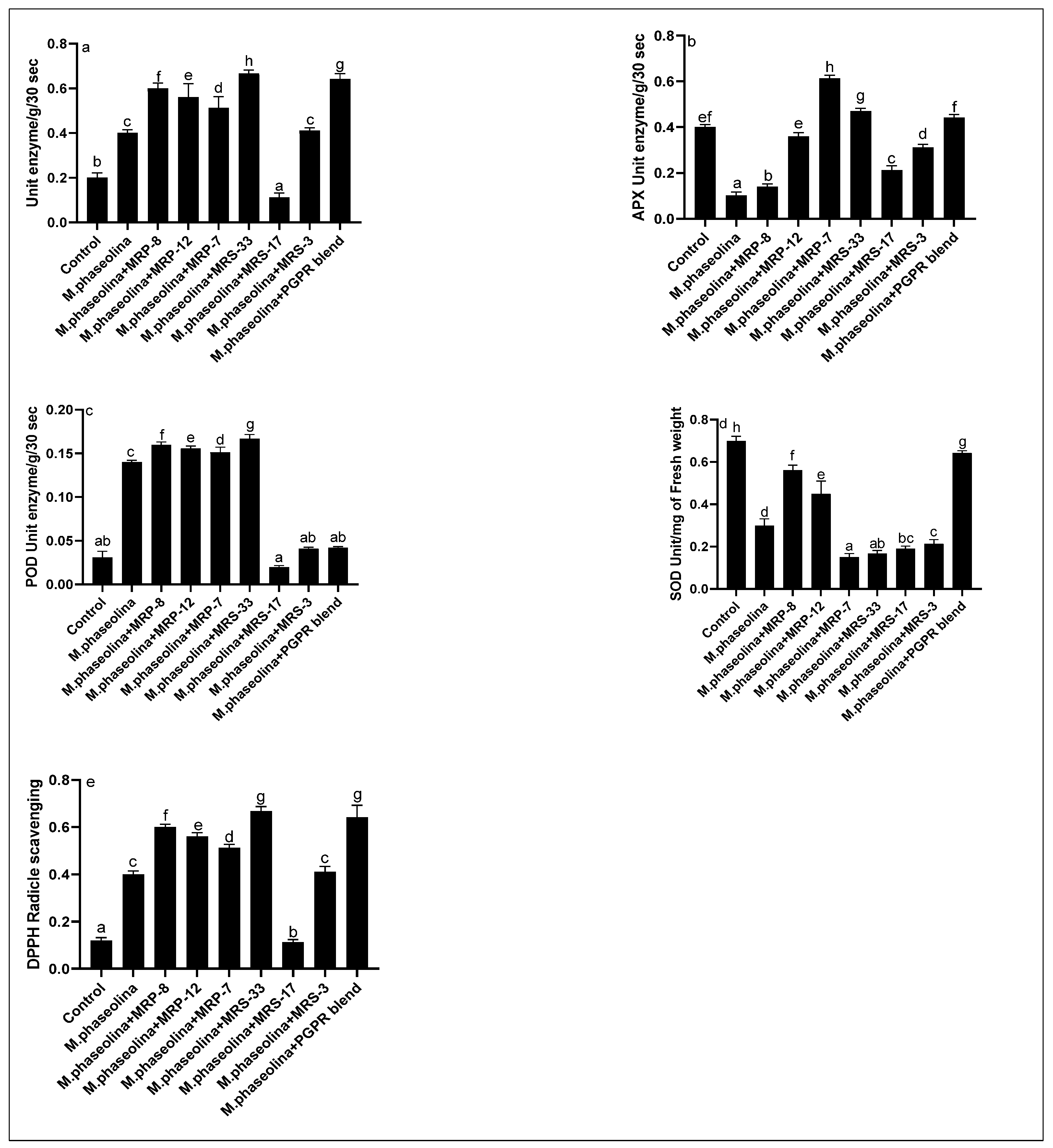Microorganisms 12 01852 g005