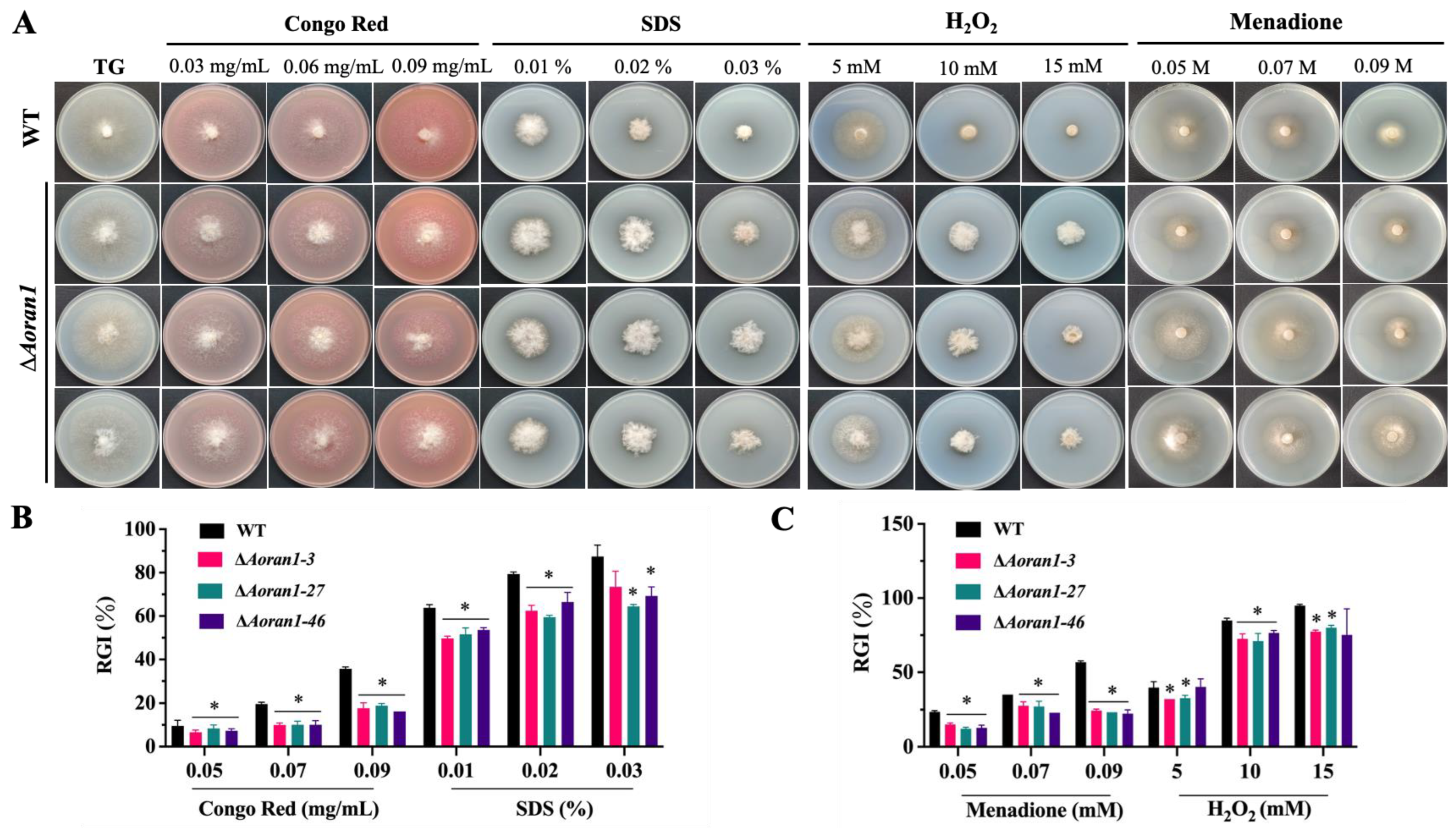 Microorganisms 12 01853 g005