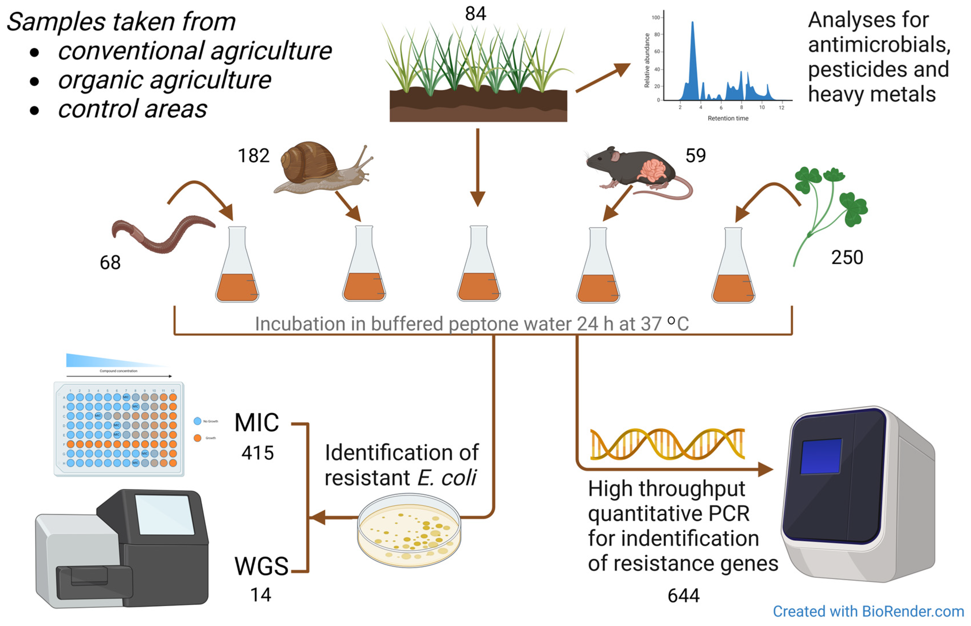Microorganisms 12 01854 g002