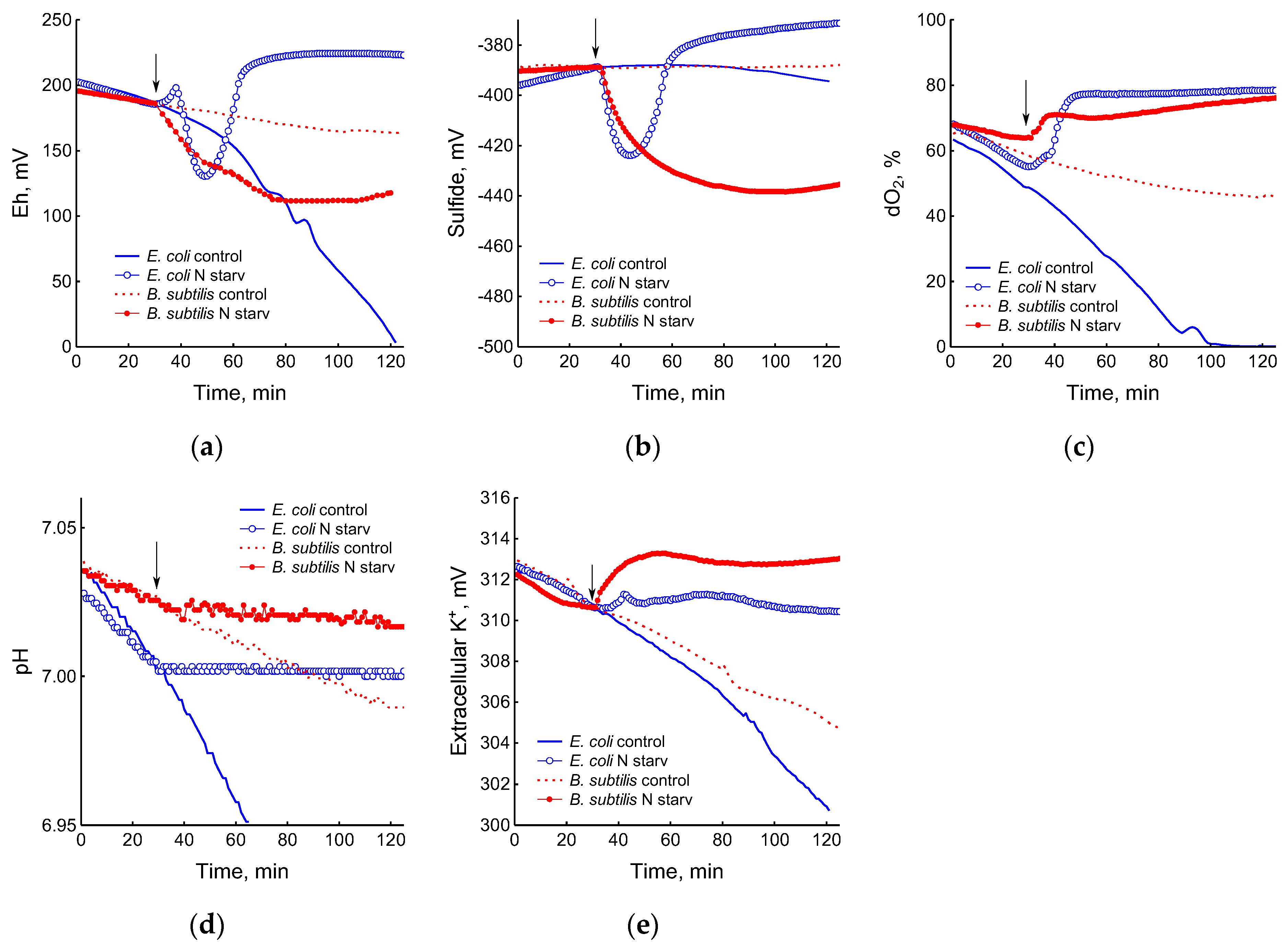 Microorganisms 12 01856 g004
