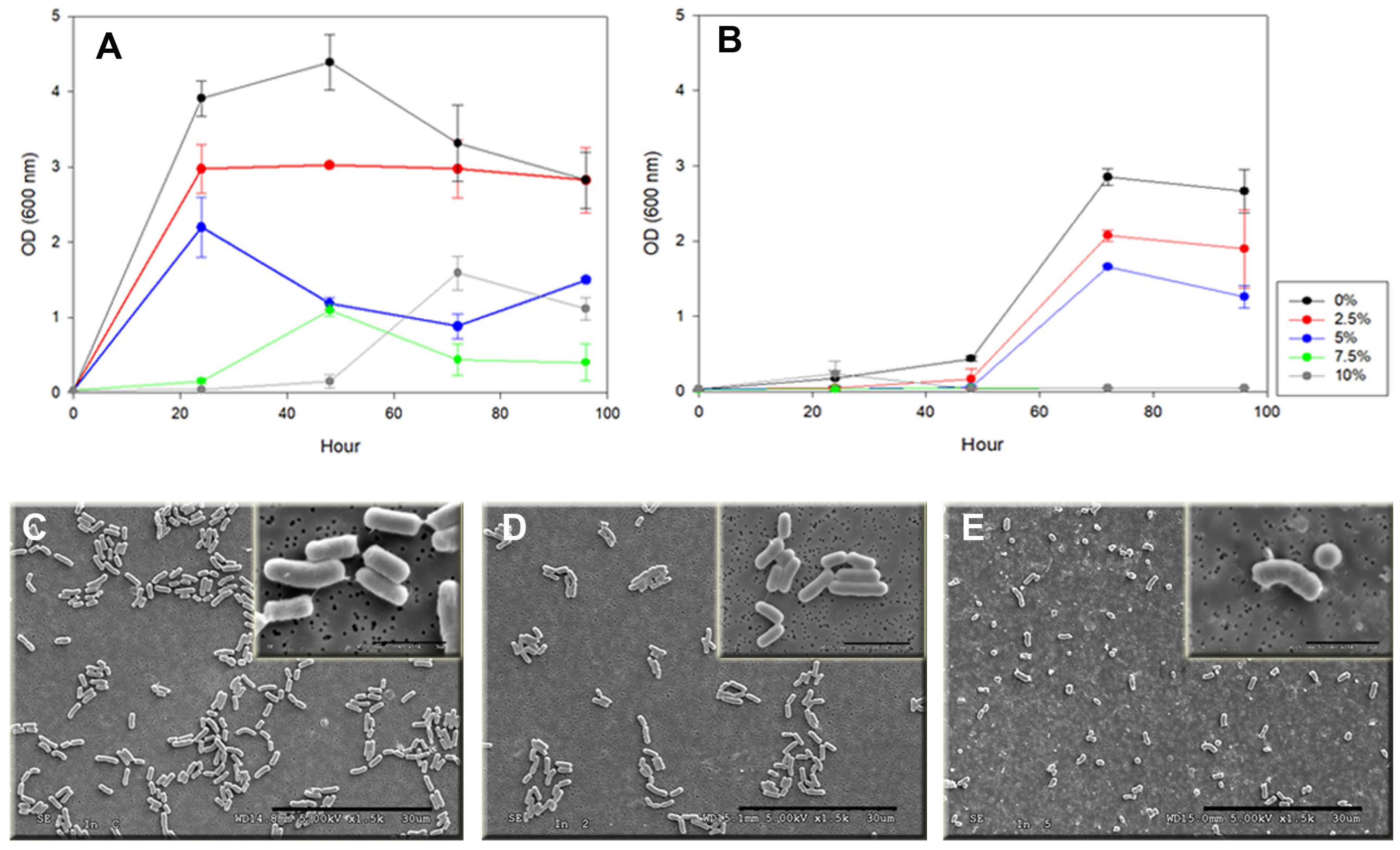 Microorganisms 12 01857 g002 Microorganisms 12 01857 g002