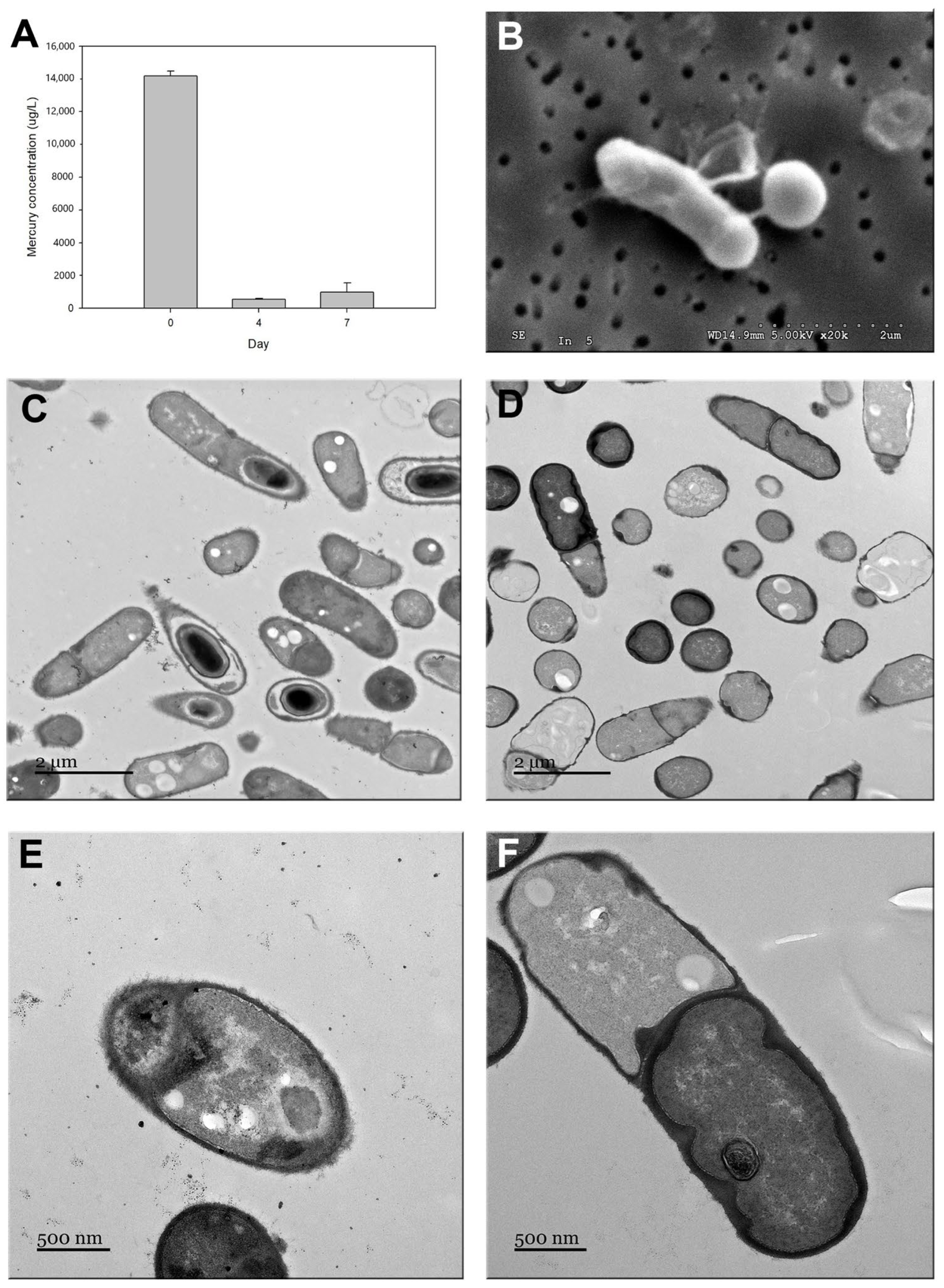 Microorganisms 12 01857 g003 Microorganisms 12 01857 g003