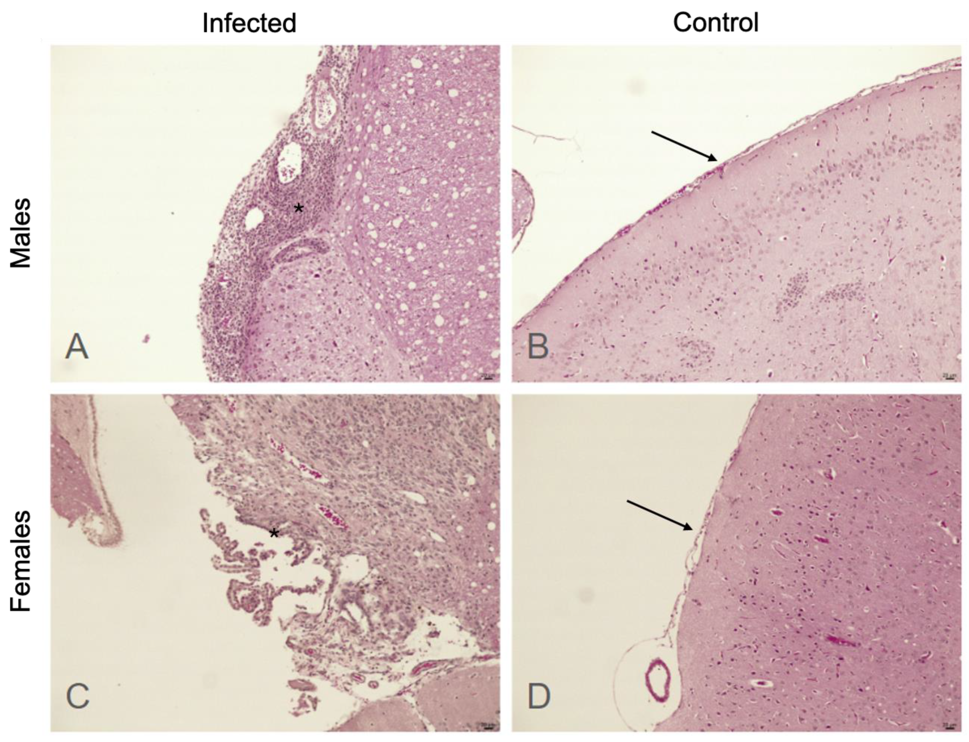 Microorganisms 12 01860 g002 Microorganisms 12 01860 g002