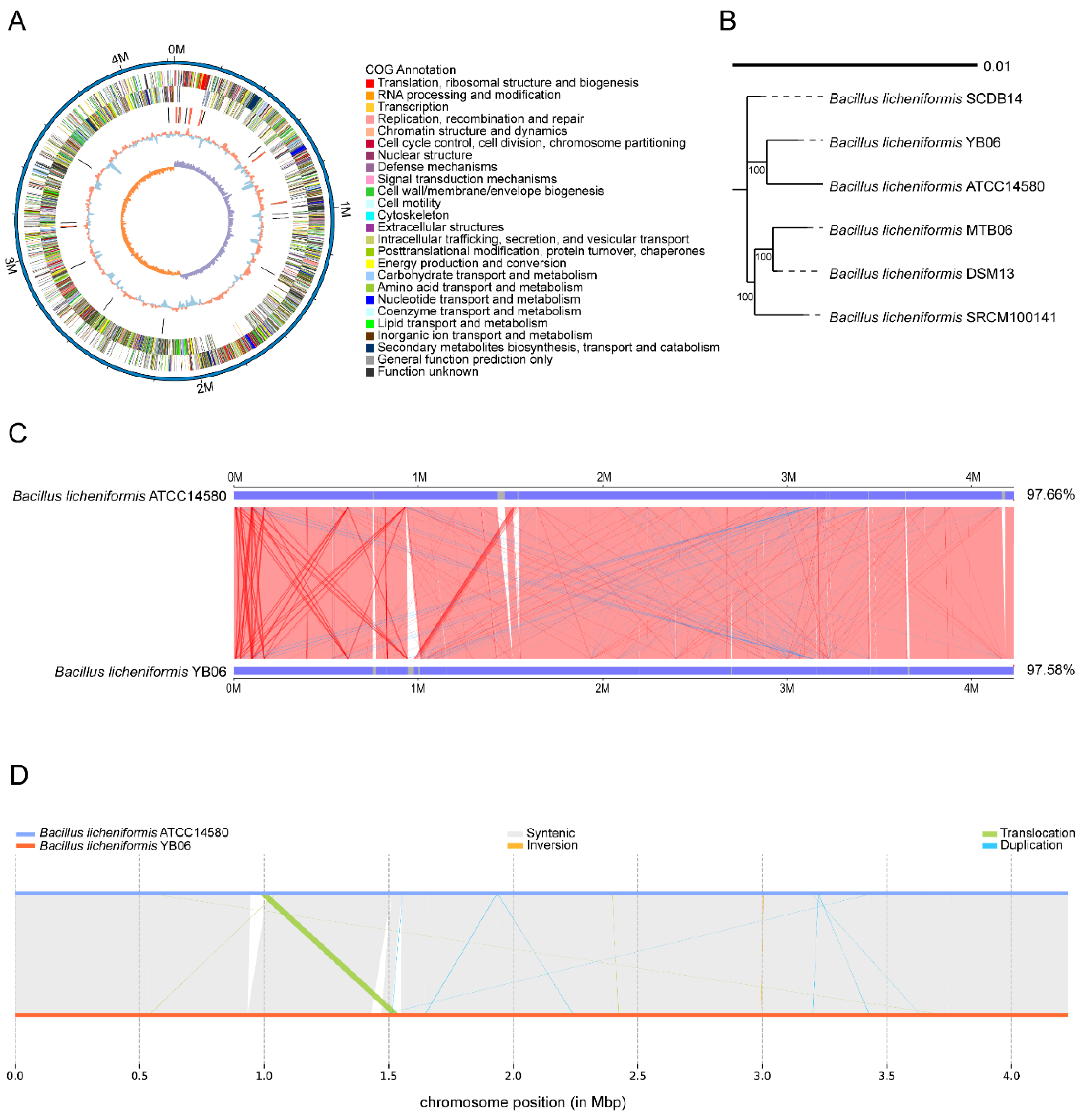 Microorganisms 12 01861 g003