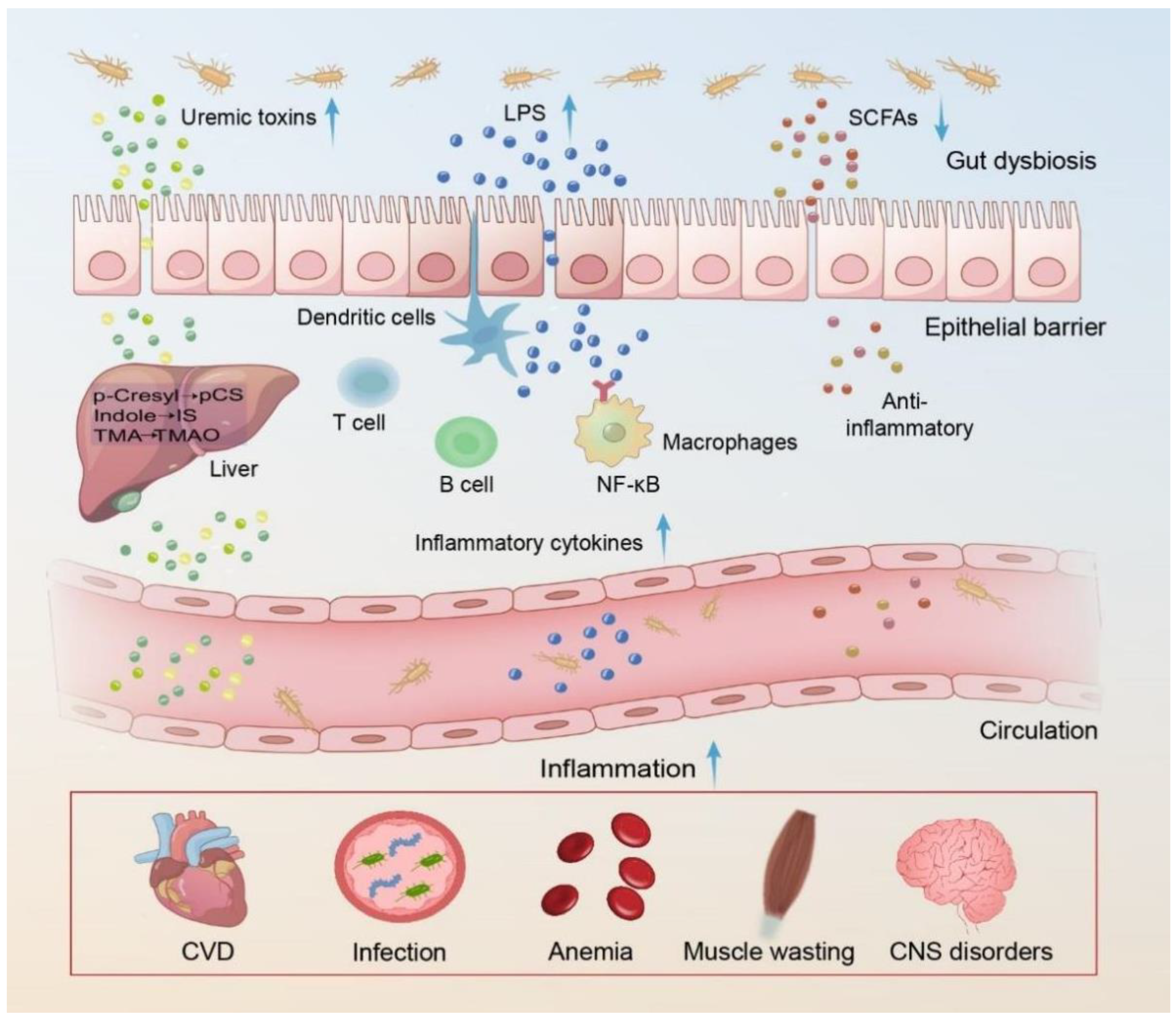 Microorganisms 12 01878 g001