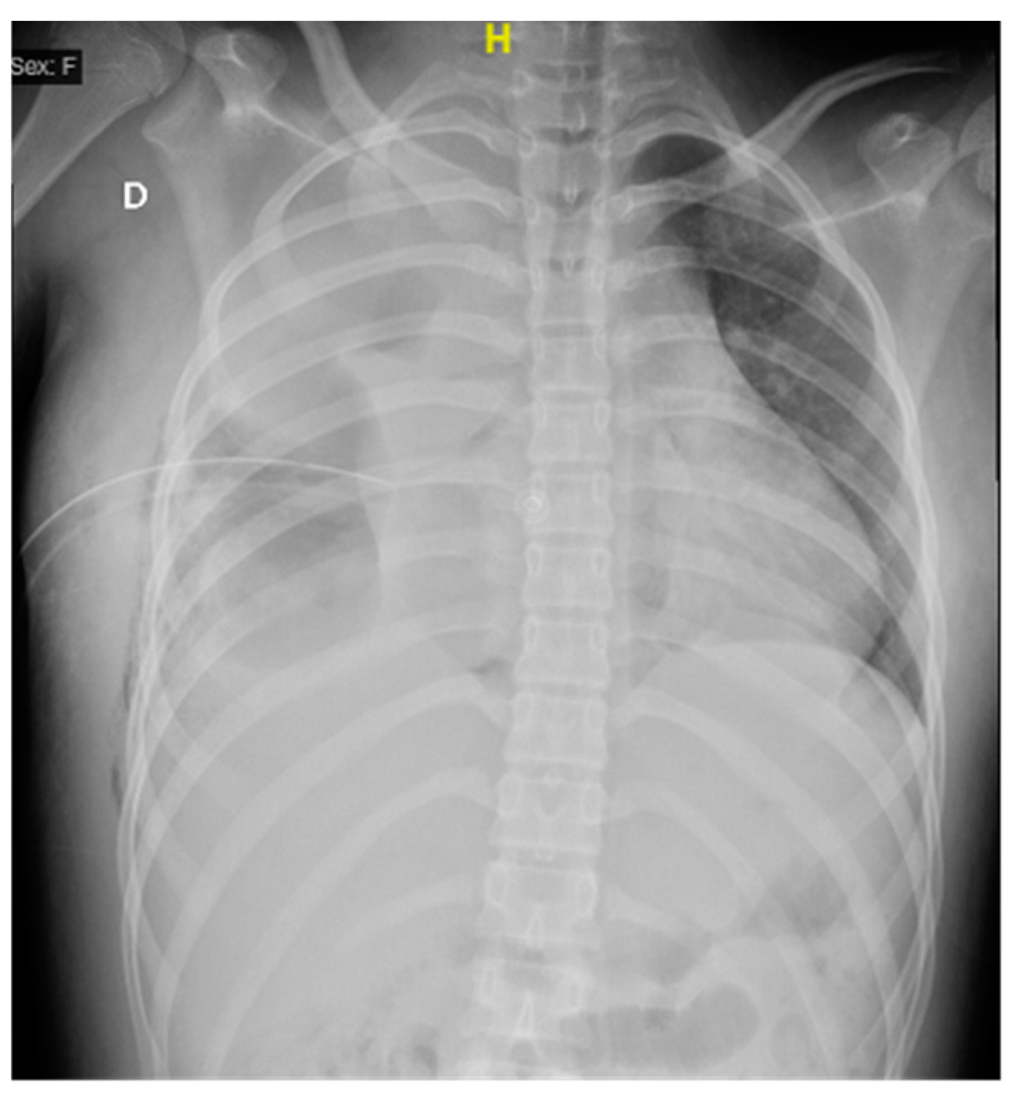 Microorganisms 12 01881 g001