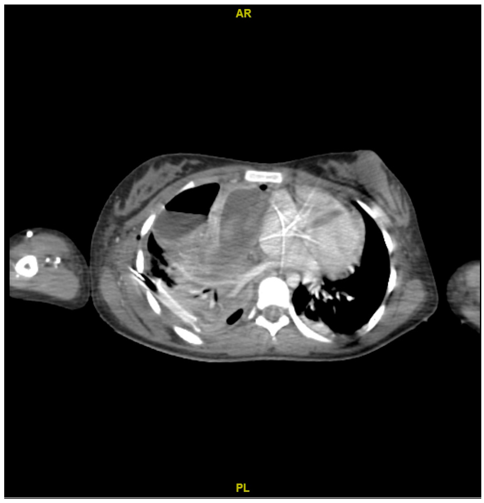 Microorganisms 12 01881 g002