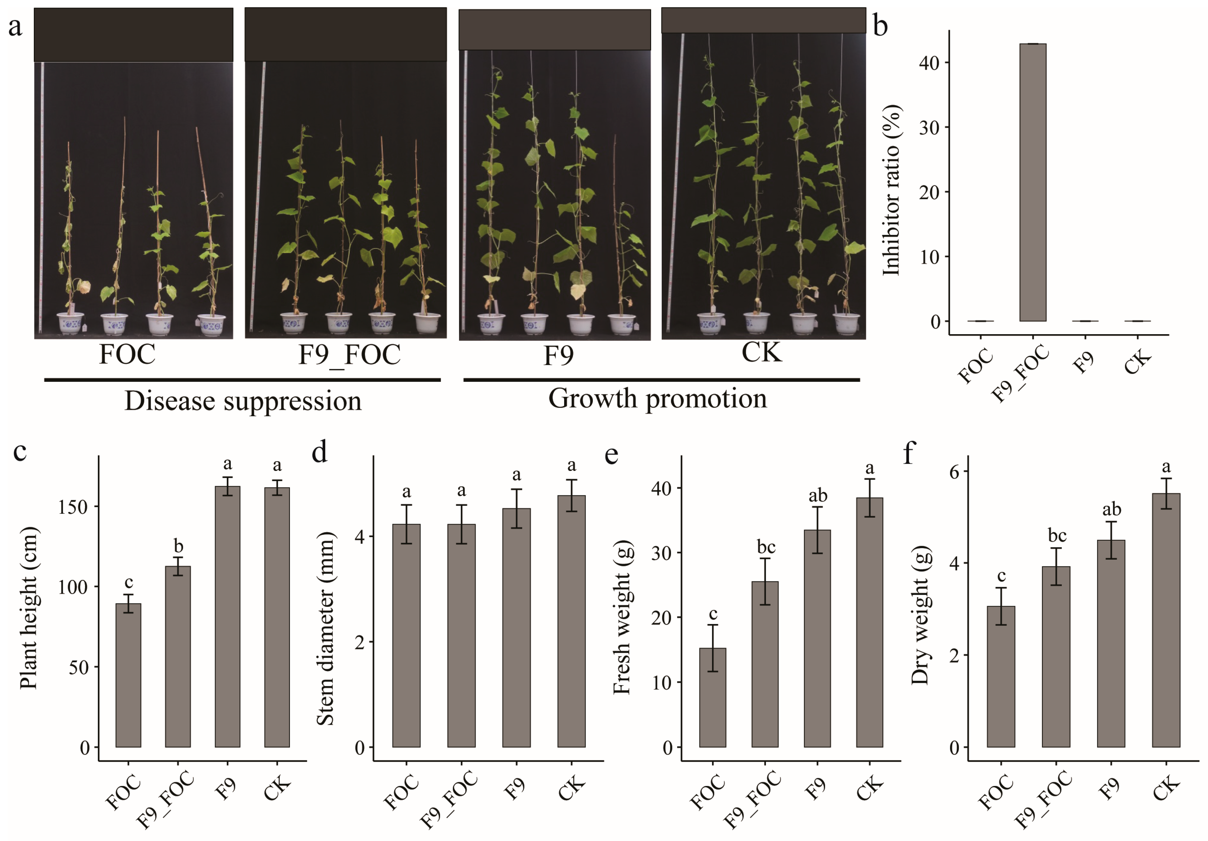Microorganisms 12 01882 g006