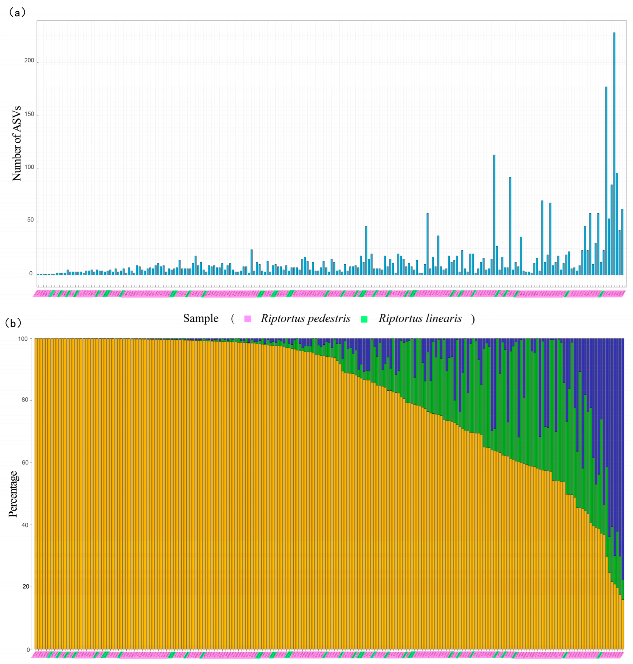 Microorganisms 12 01885 g004