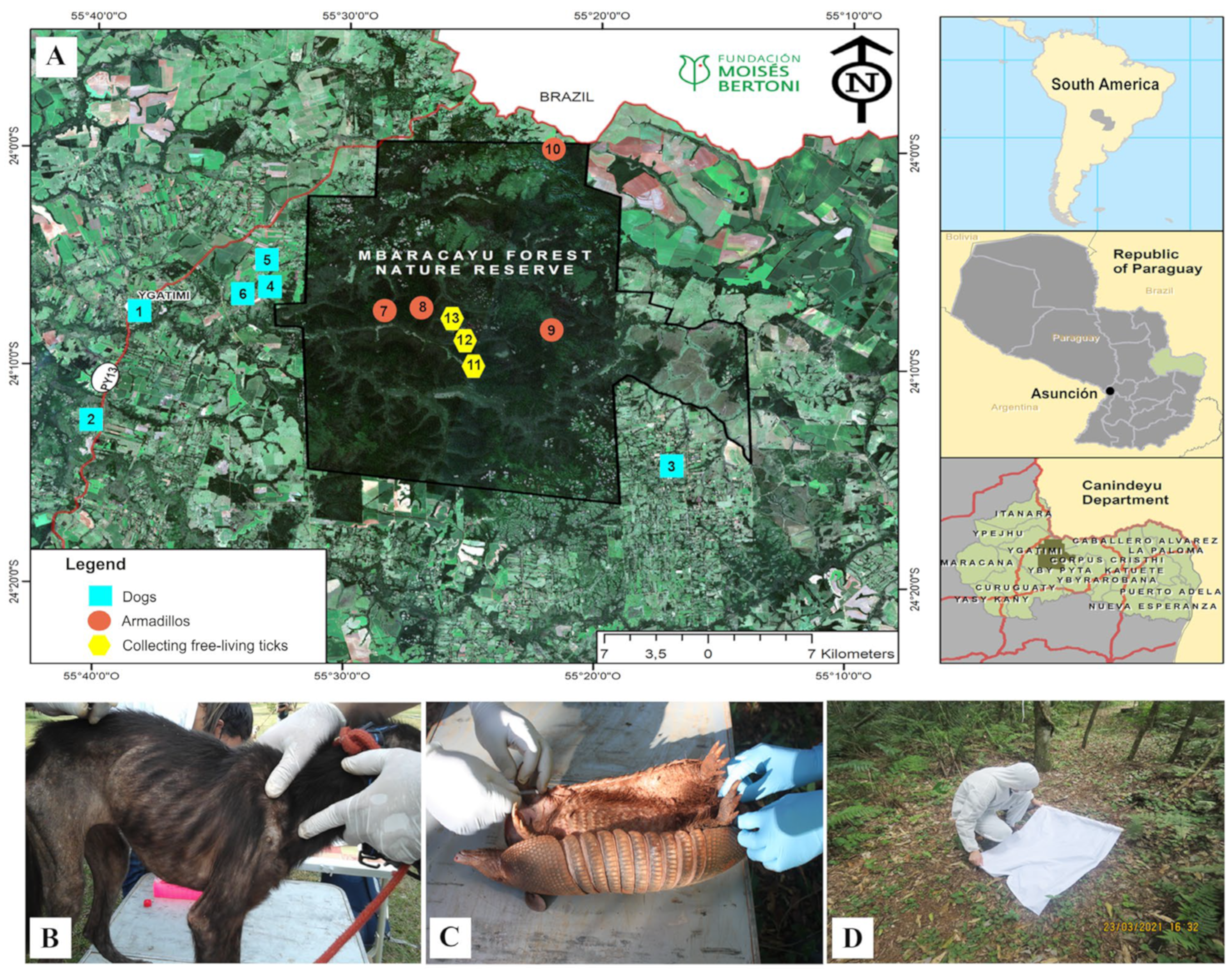 Microorganisms 12 01893 g001
