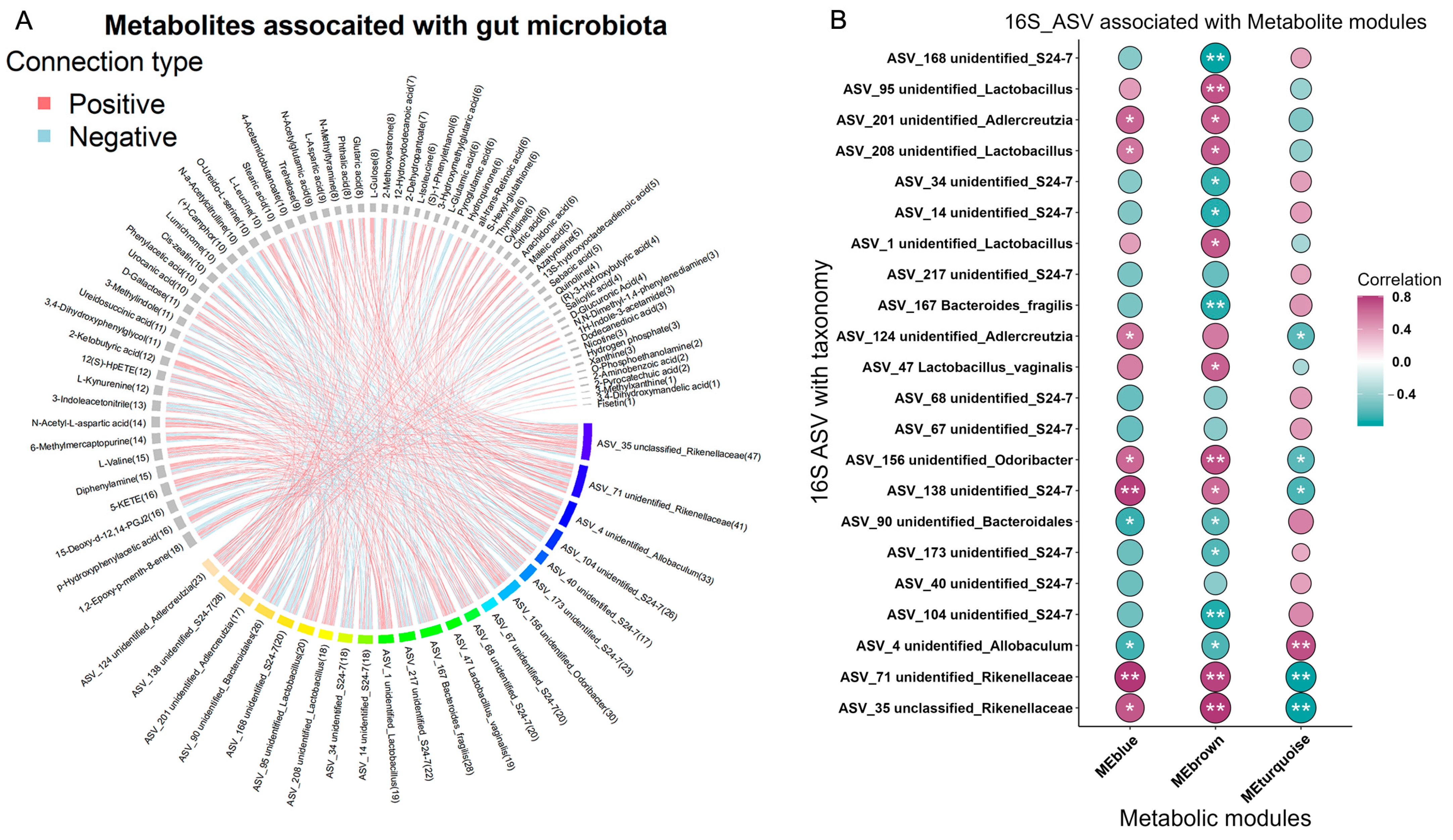 Microorganisms 12 01902 g004