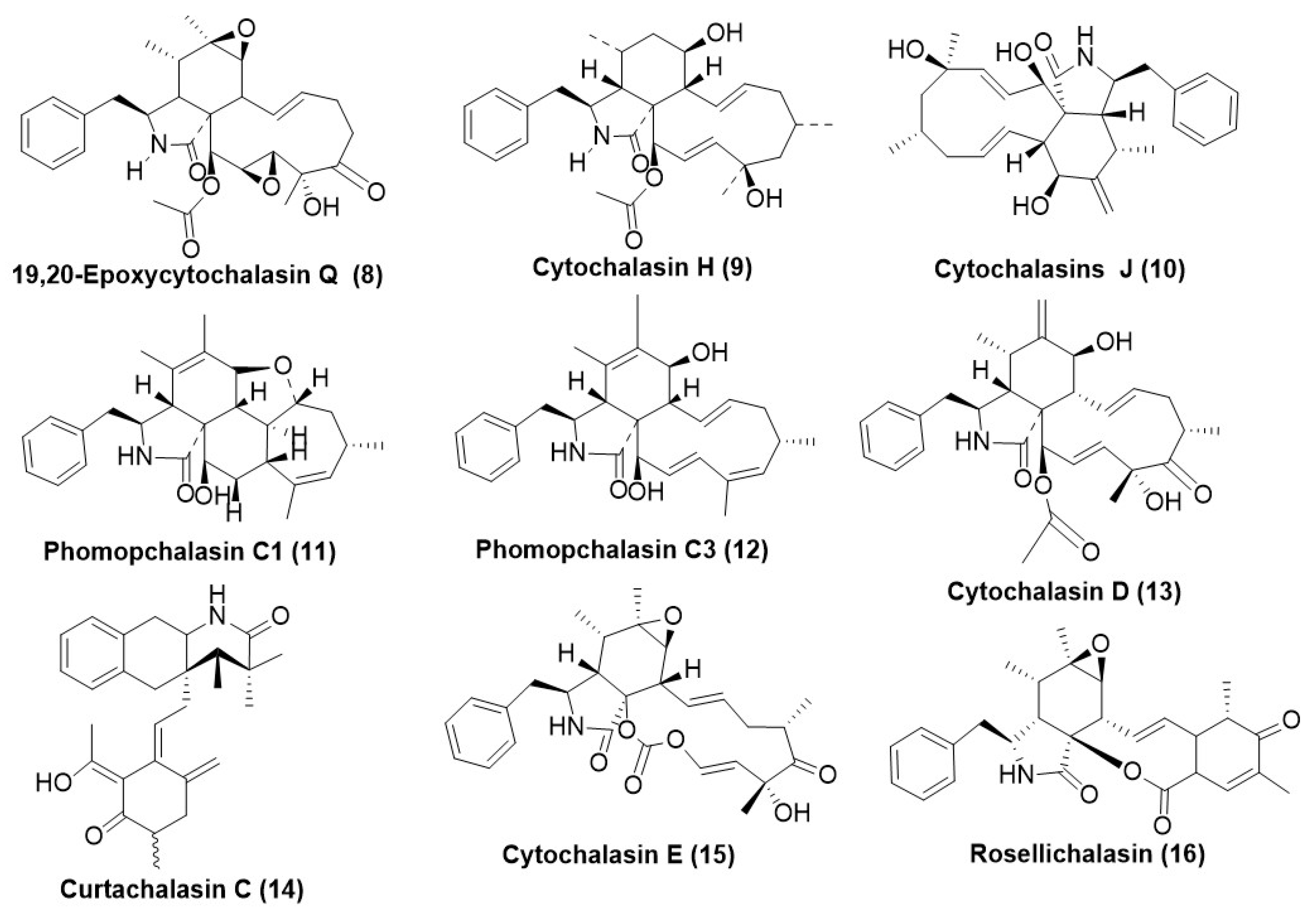 Microorganisms 12 01903 g002 Microorganisms 12 01903 g002