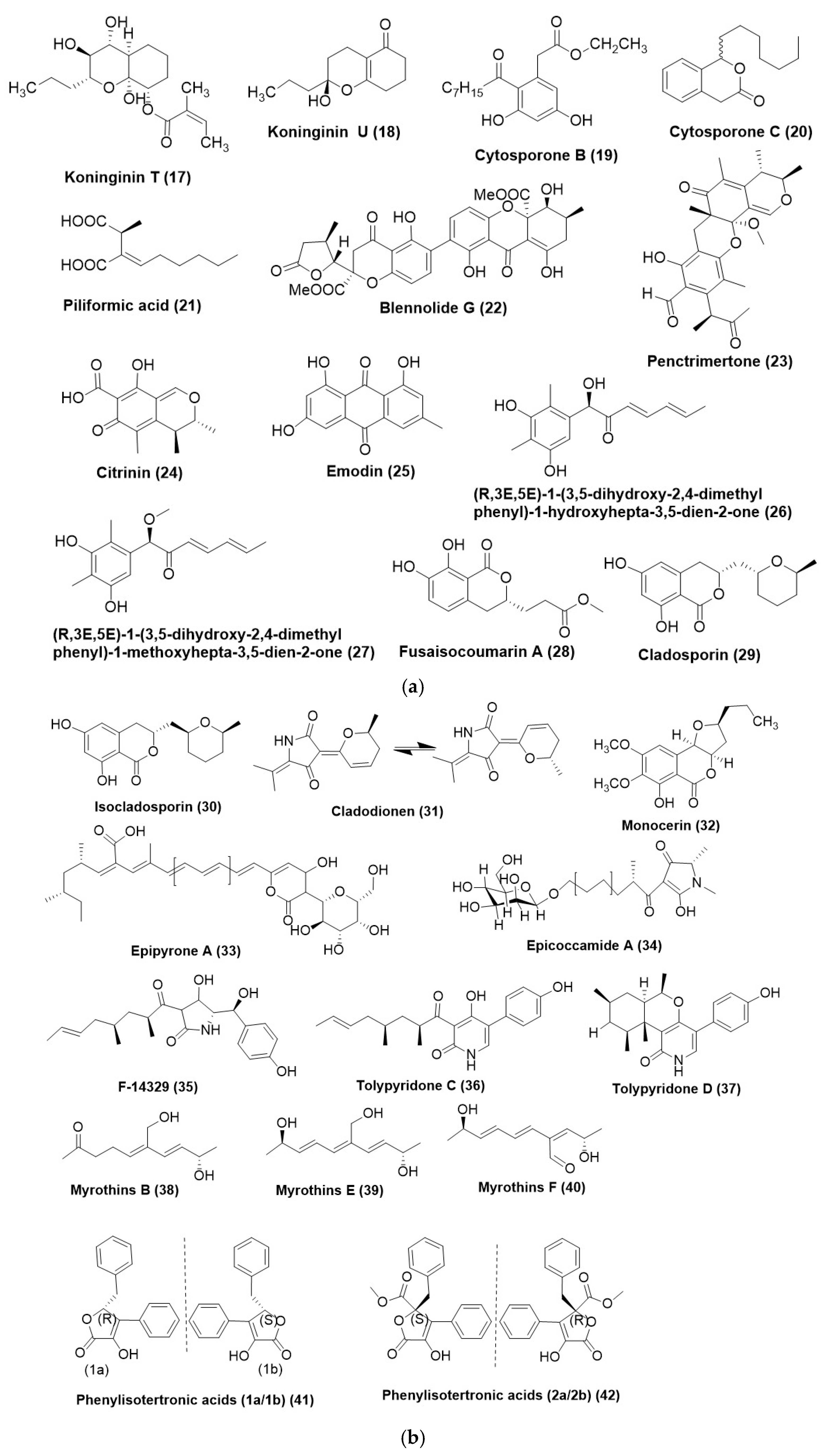 Microorganisms 12 01903 g003a Microorganisms 12 01903 g003a