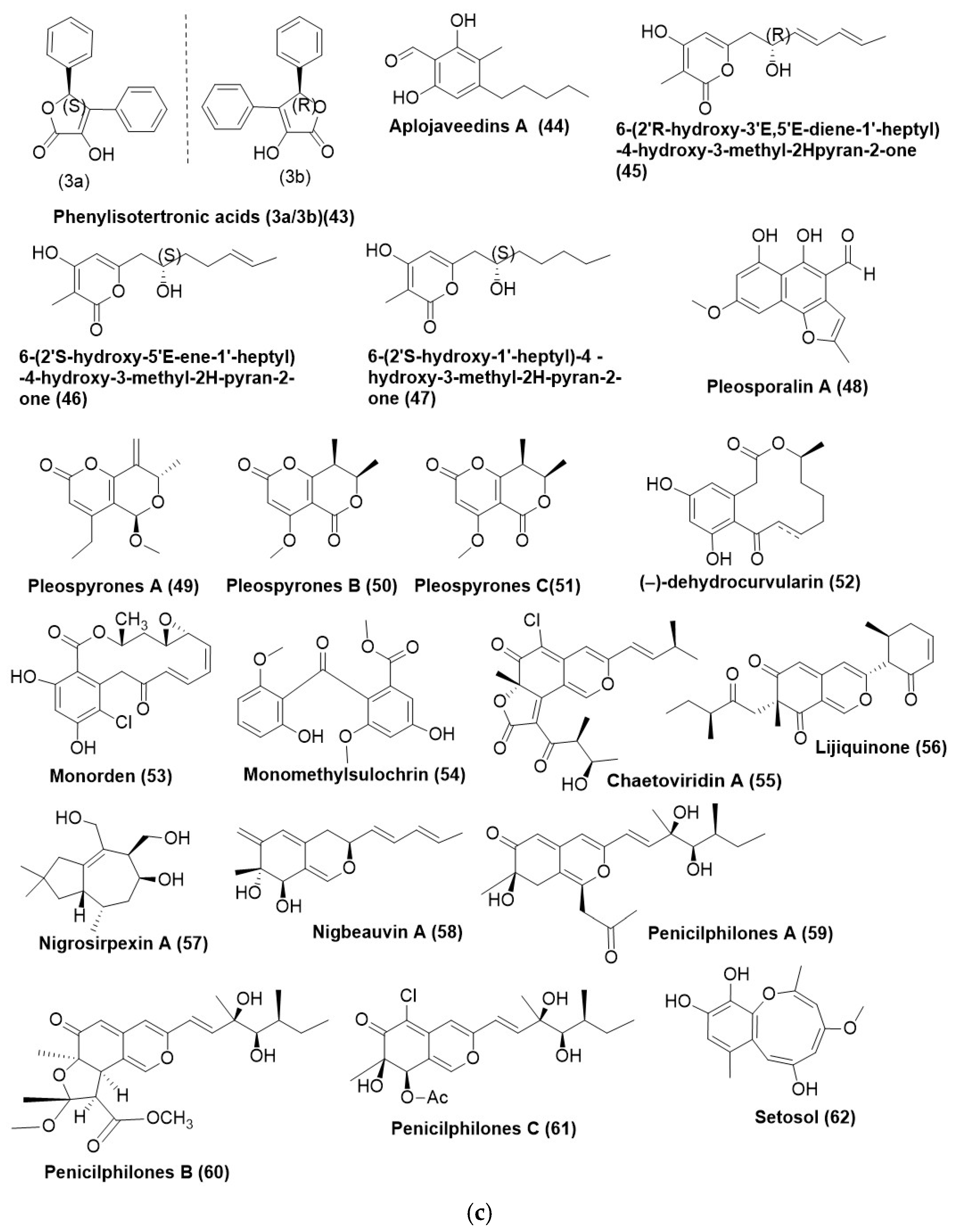 Microorganisms 12 01903 g003b Microorganisms 12 01903 g003b