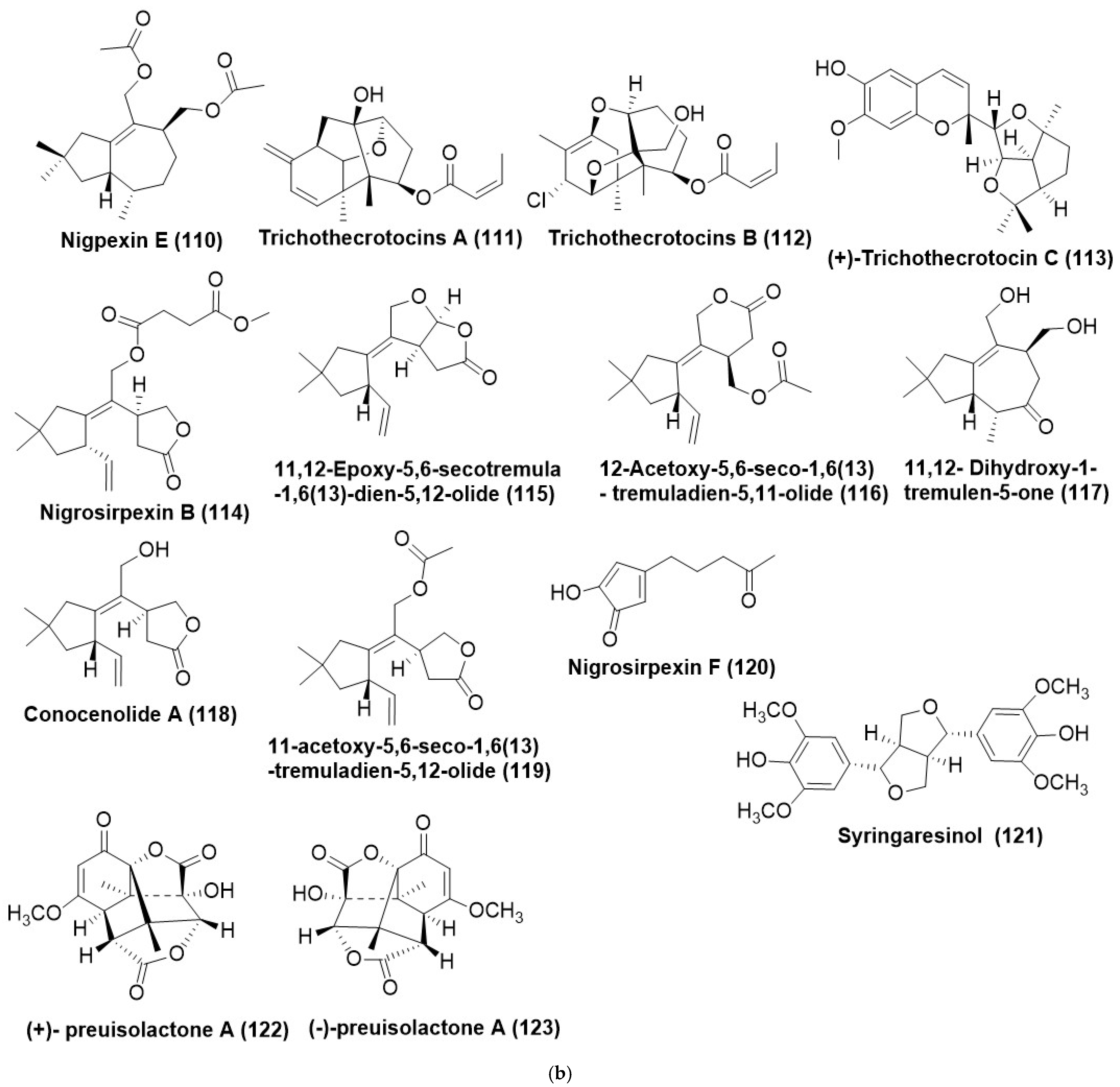 Microorganisms 12 01903 g005c Microorganisms 12 01903 g005c
