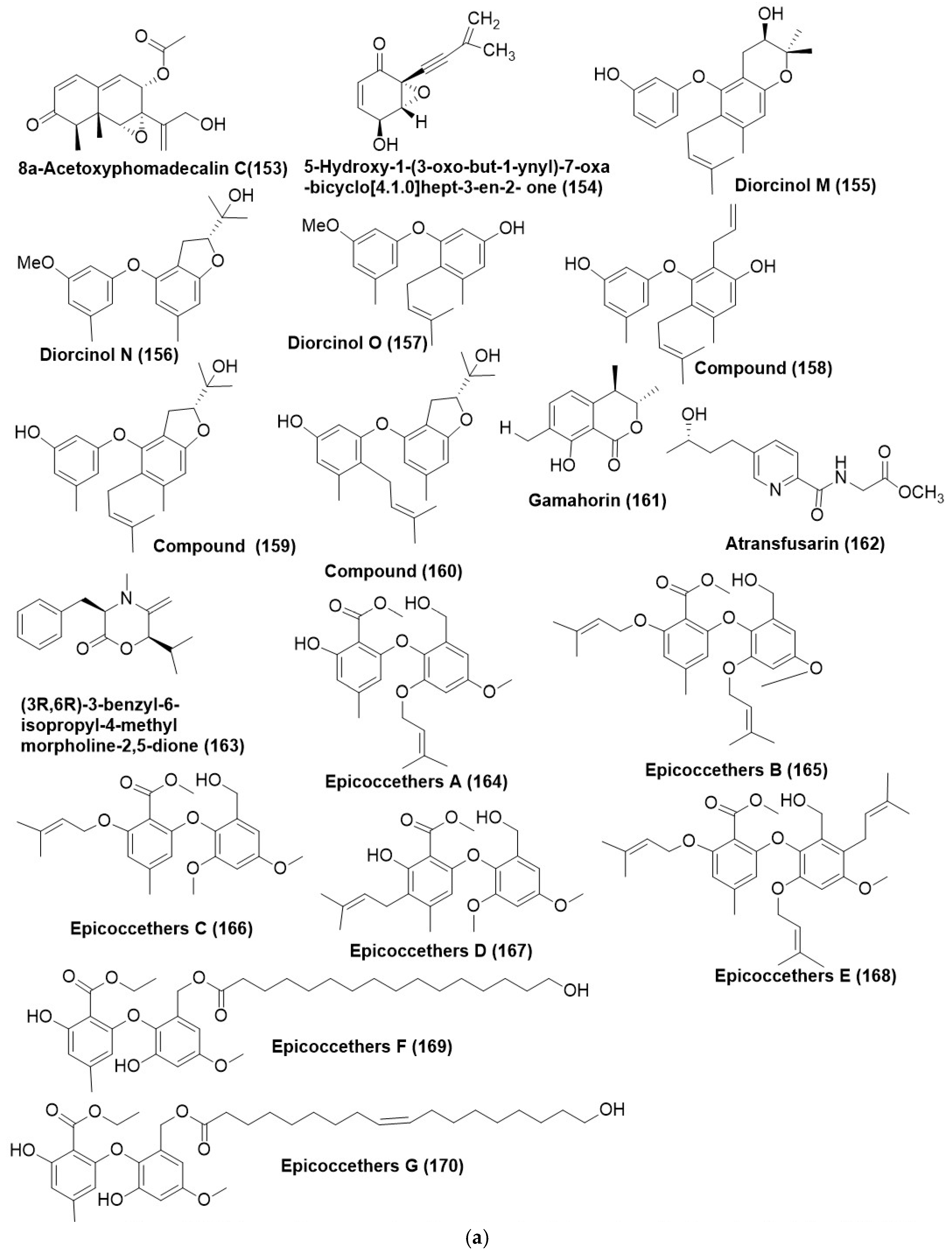 Microorganisms 12 01903 g009a Microorganisms 12 01903 g009a