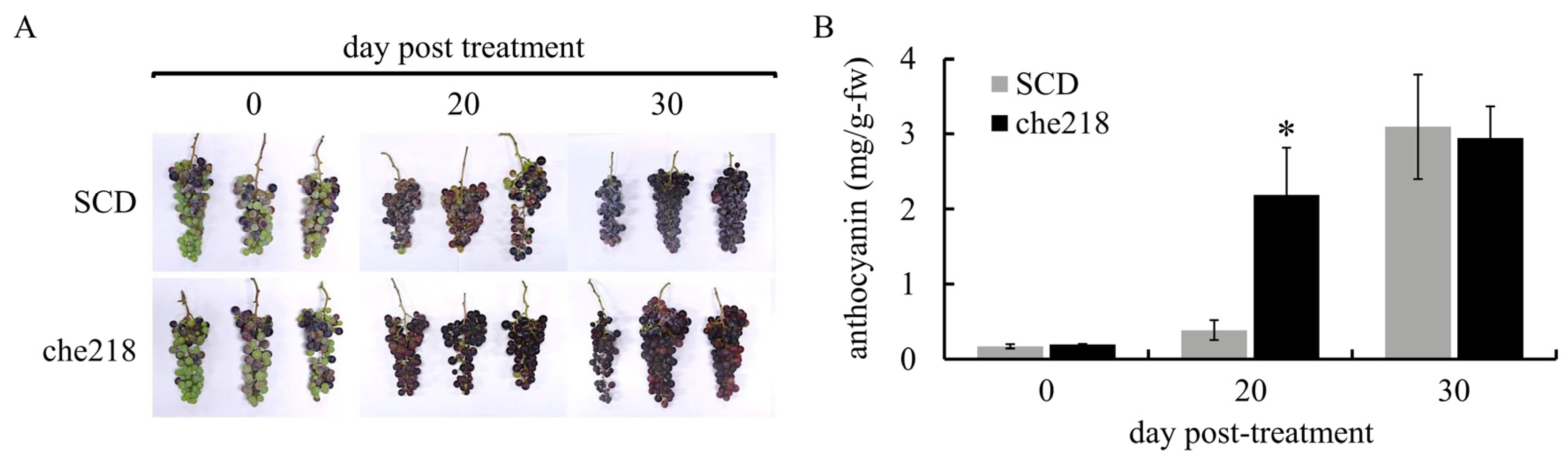 Microorganisms 12 01906 g002