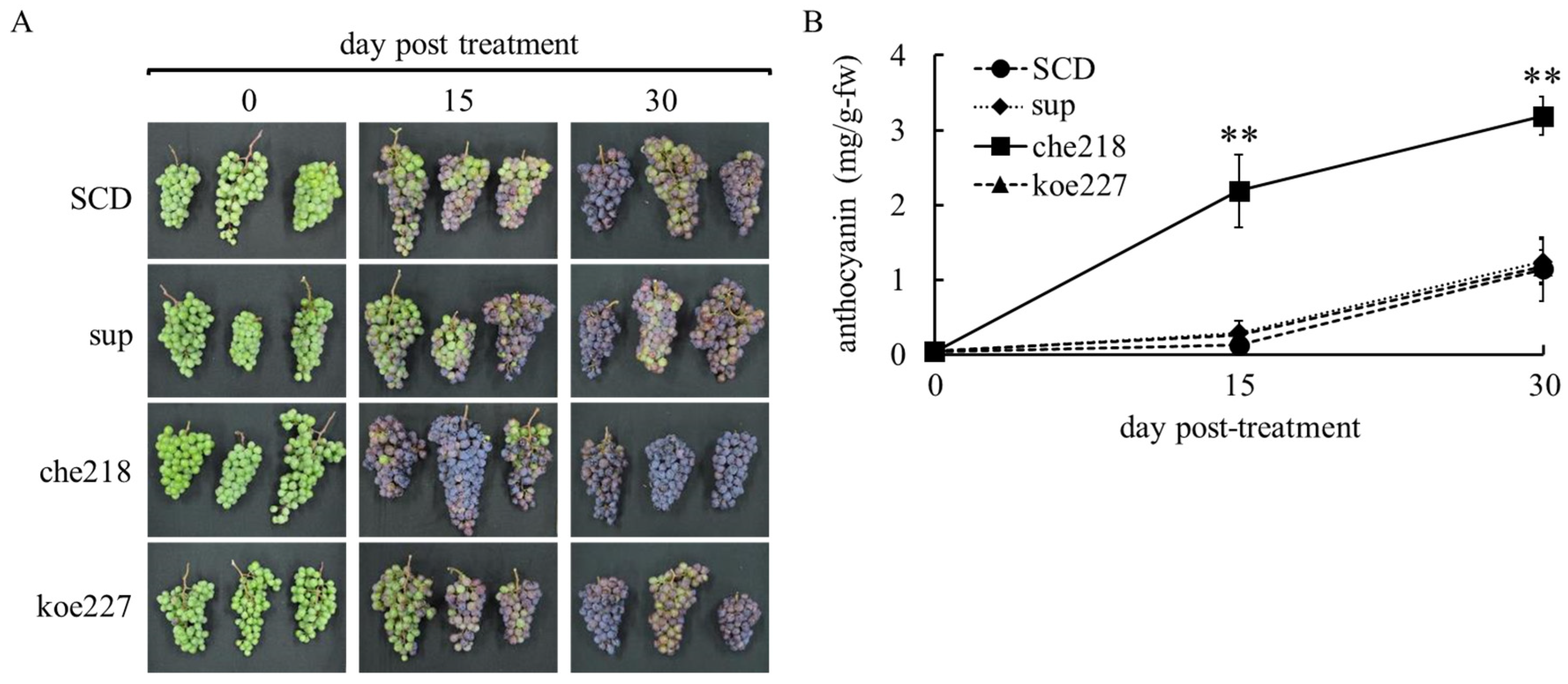 Microorganisms 12 01906 g003