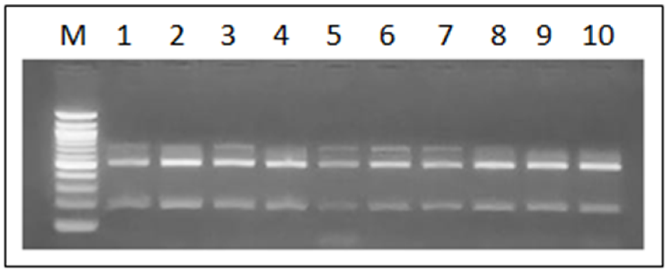 Microorganisms 12 01907 g002