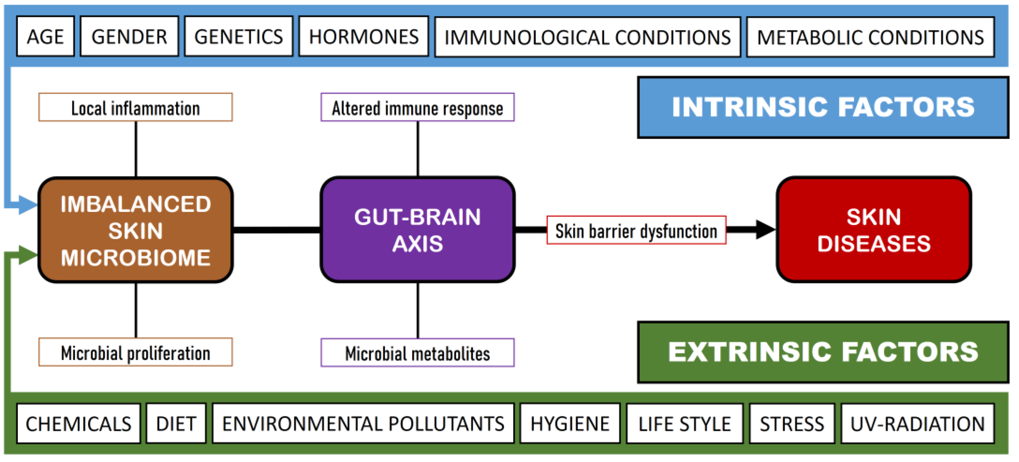 Microorganisms 12 01908 g001