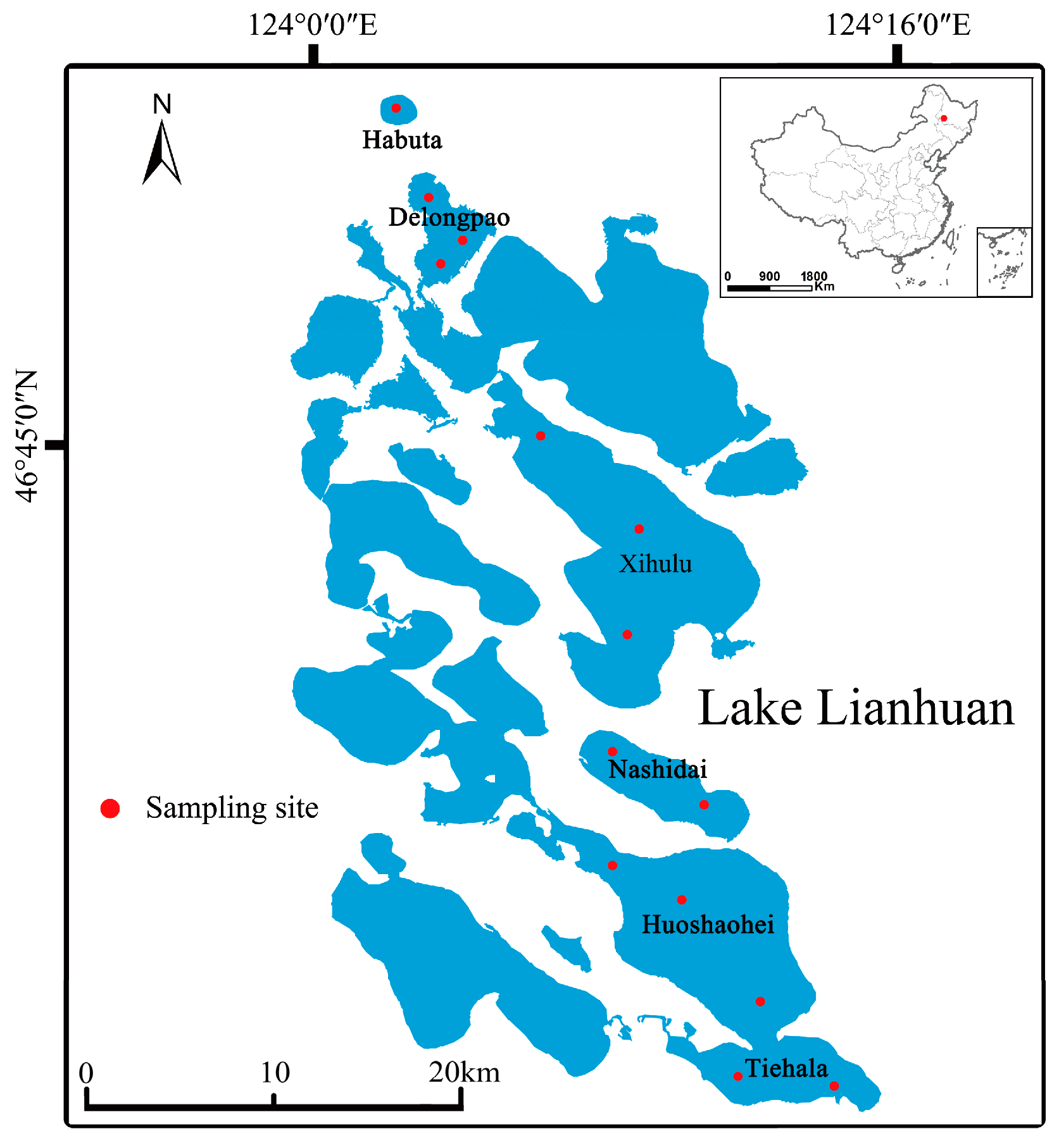 Microorganisms 12 01914 g001