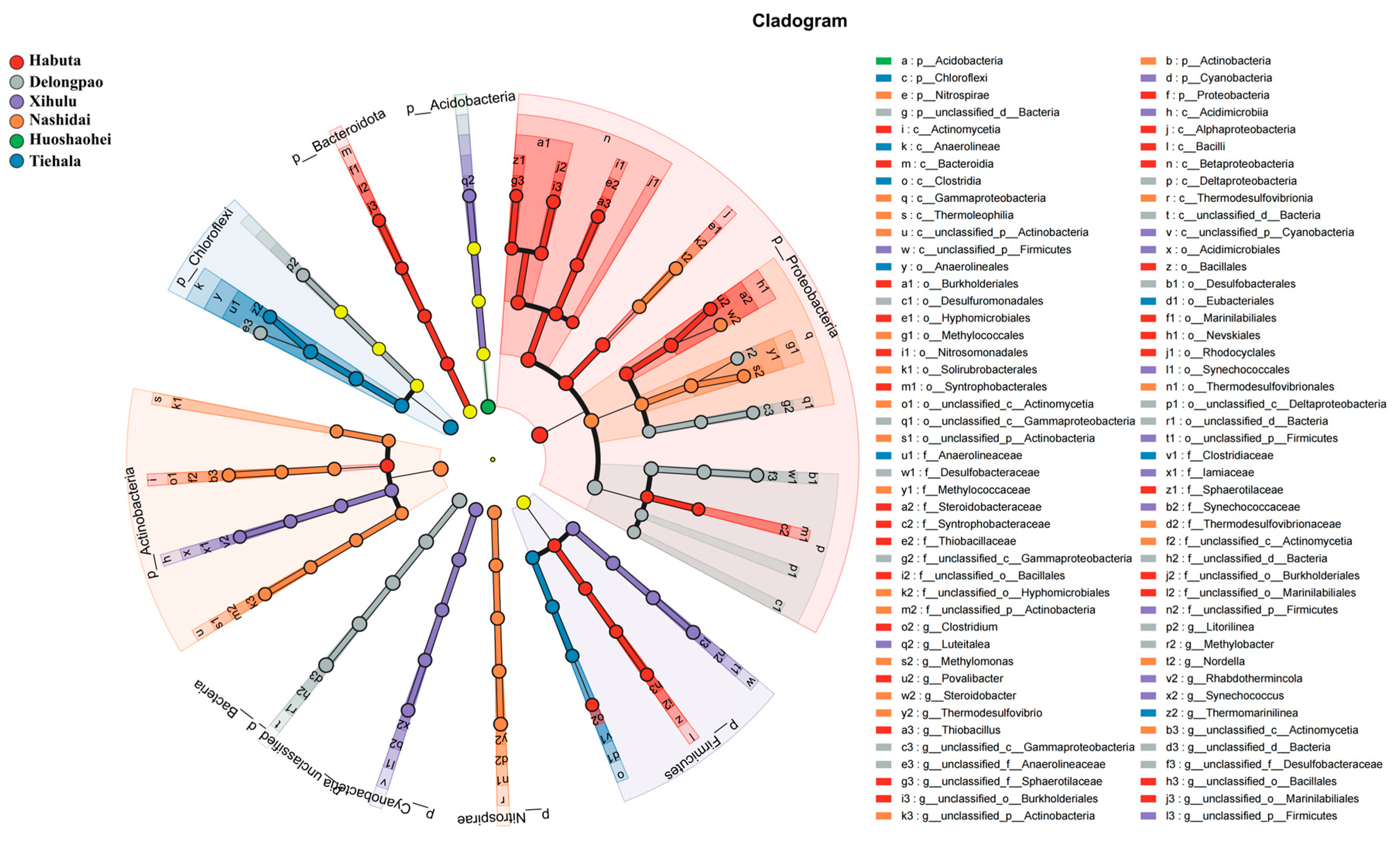 Microorganisms 12 01914 g005
