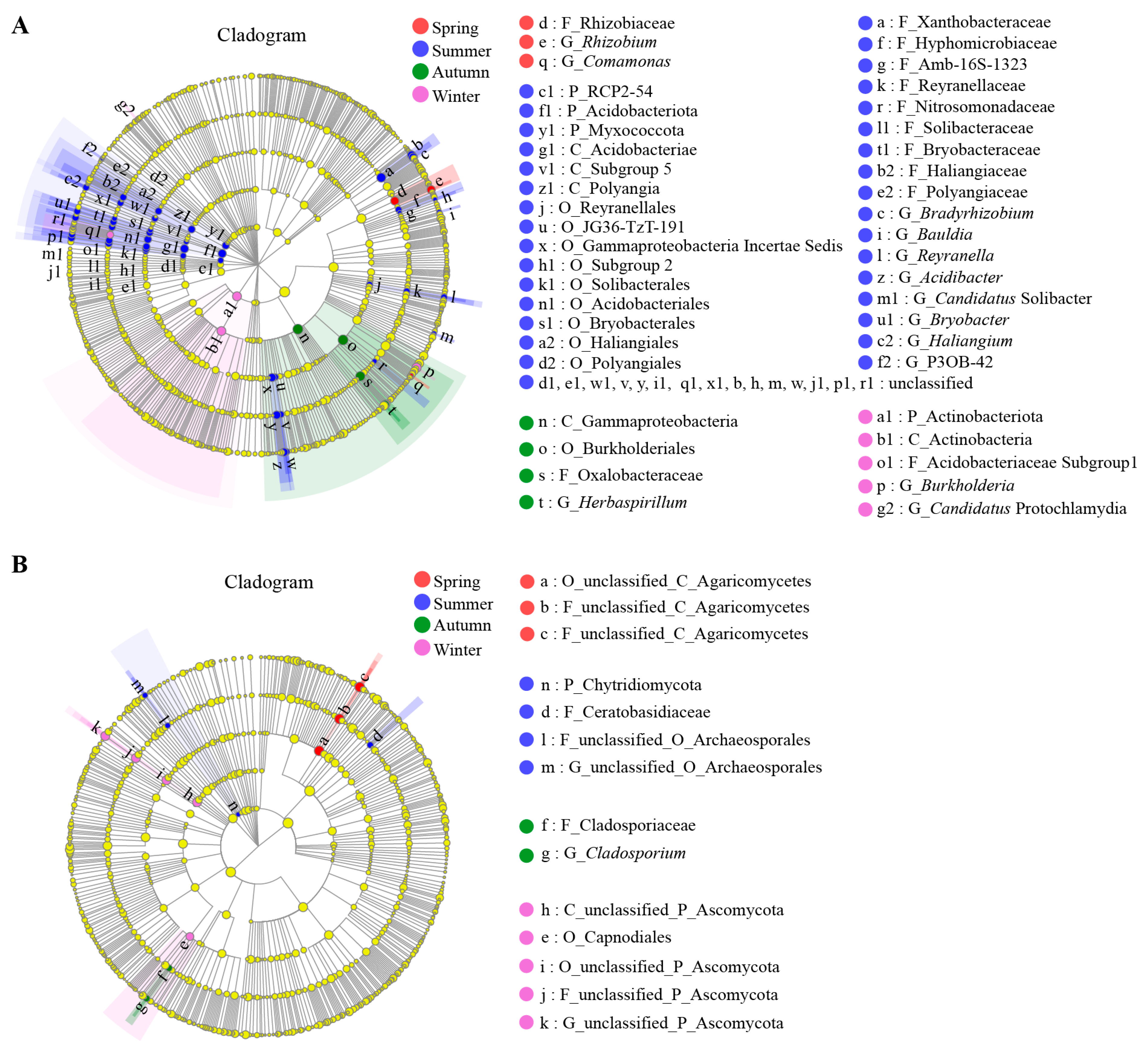 Microorganisms 12 01927 g005