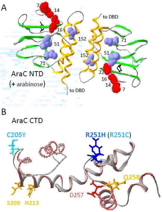 Microorganisms 12 01928 g011