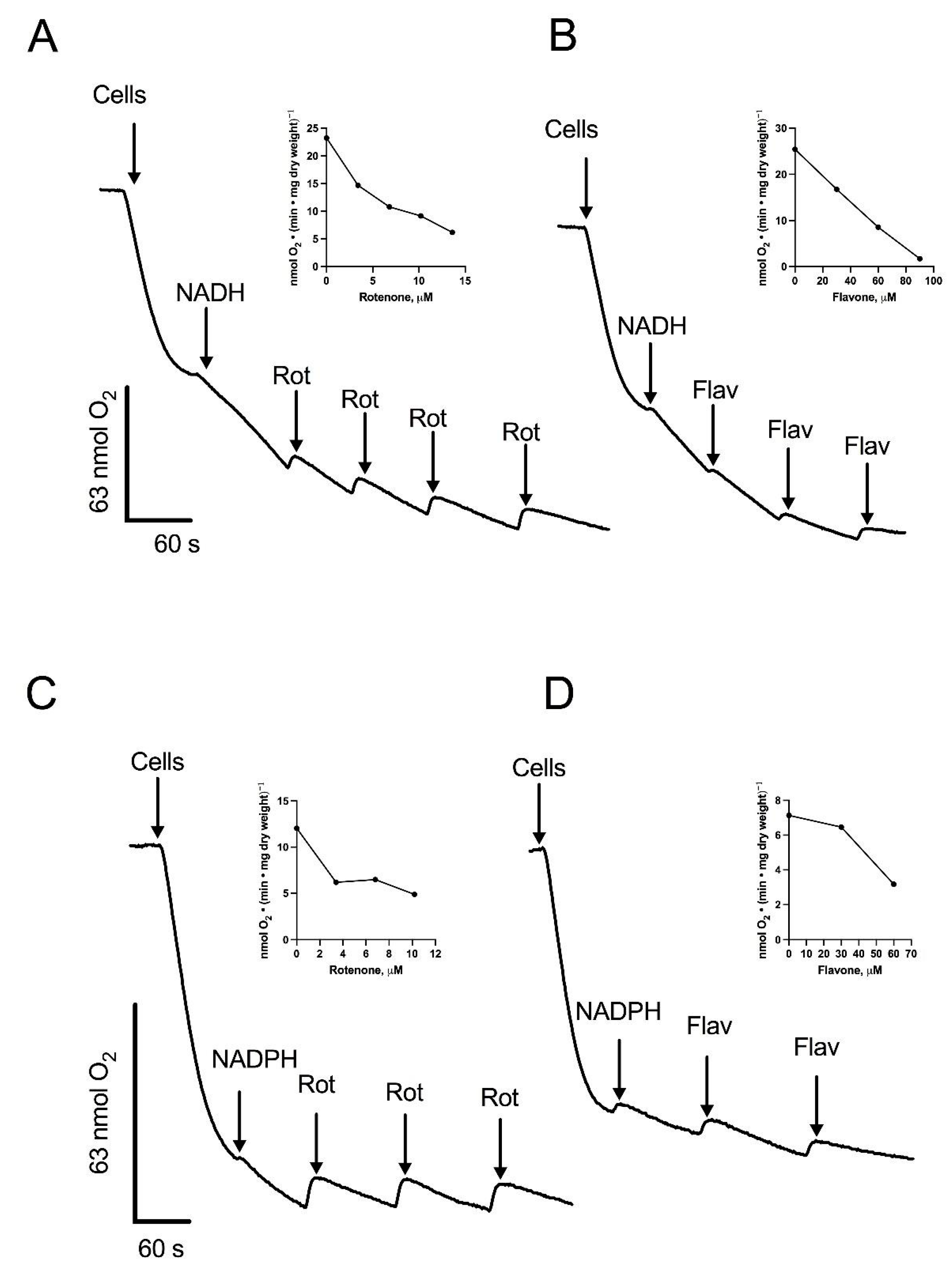 Microorganisms 12 01931 g002
