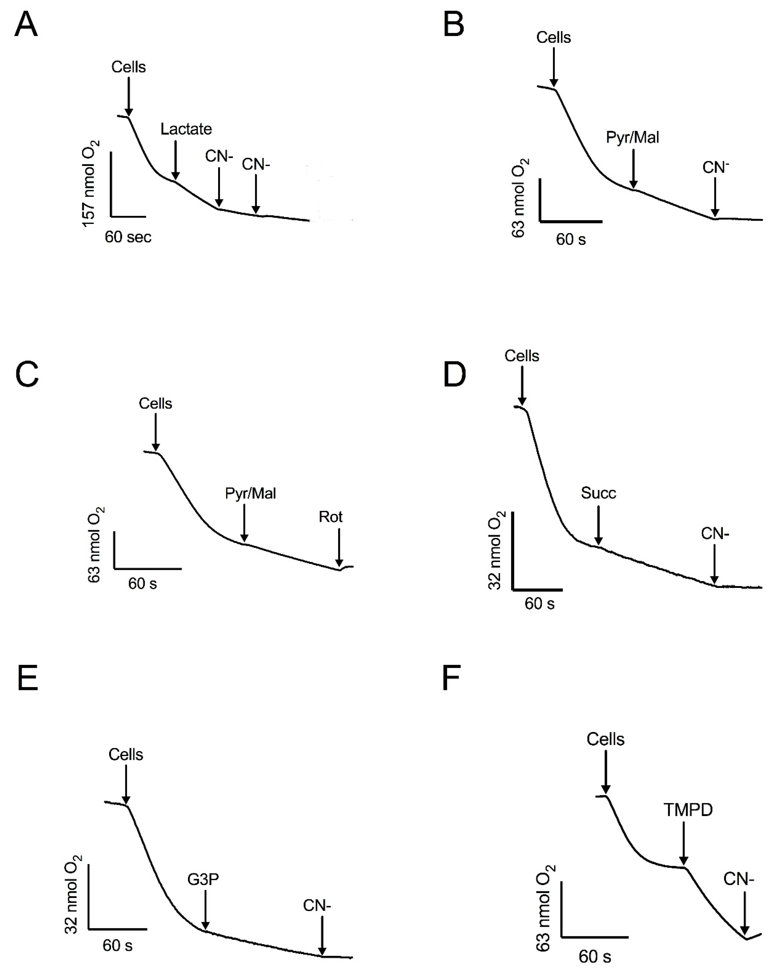 Microorganisms 12 01931 g003